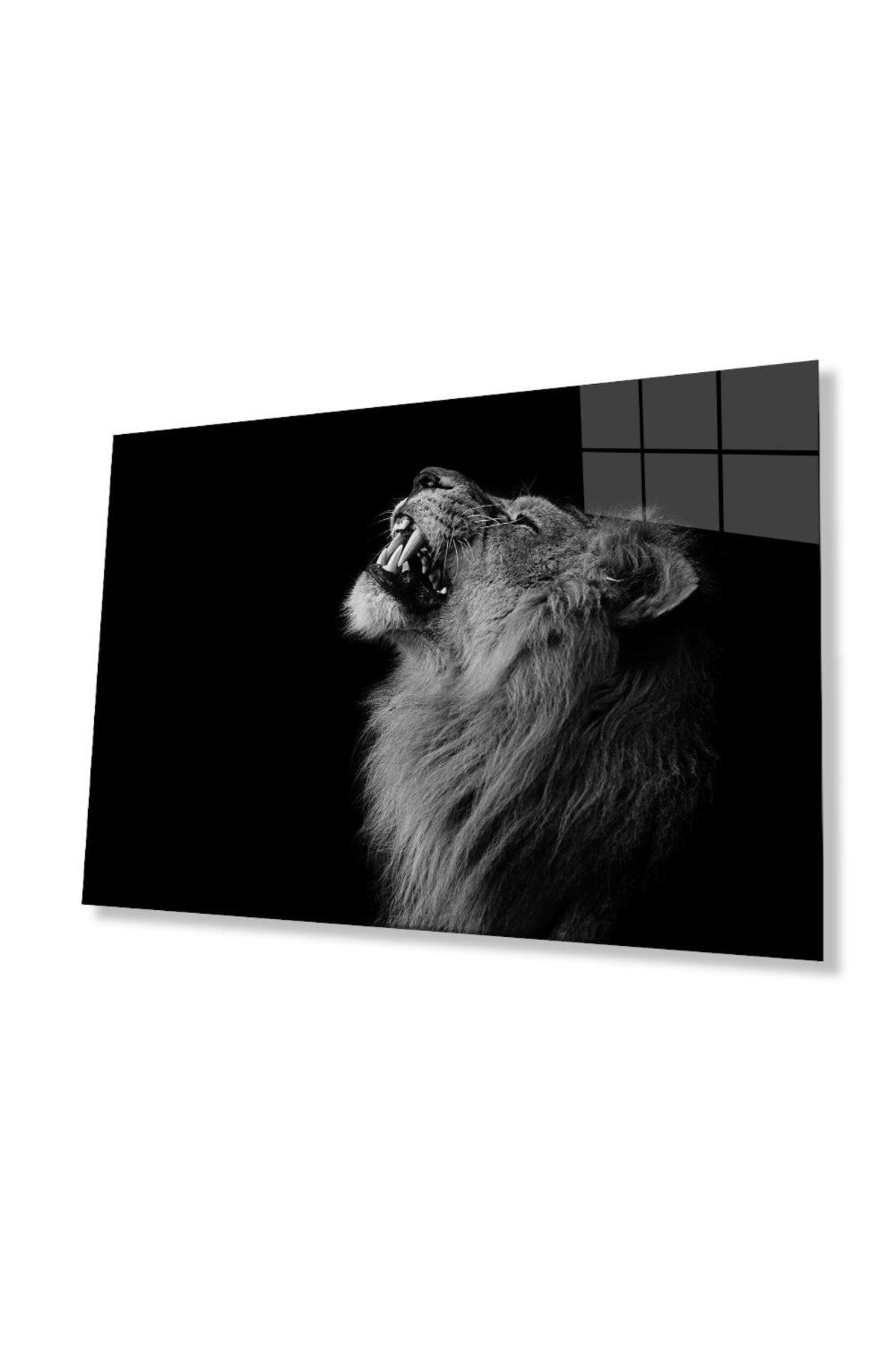 idealizbiz Aslan Cam Tablo 4mm Dayanıklı Temperli Cam