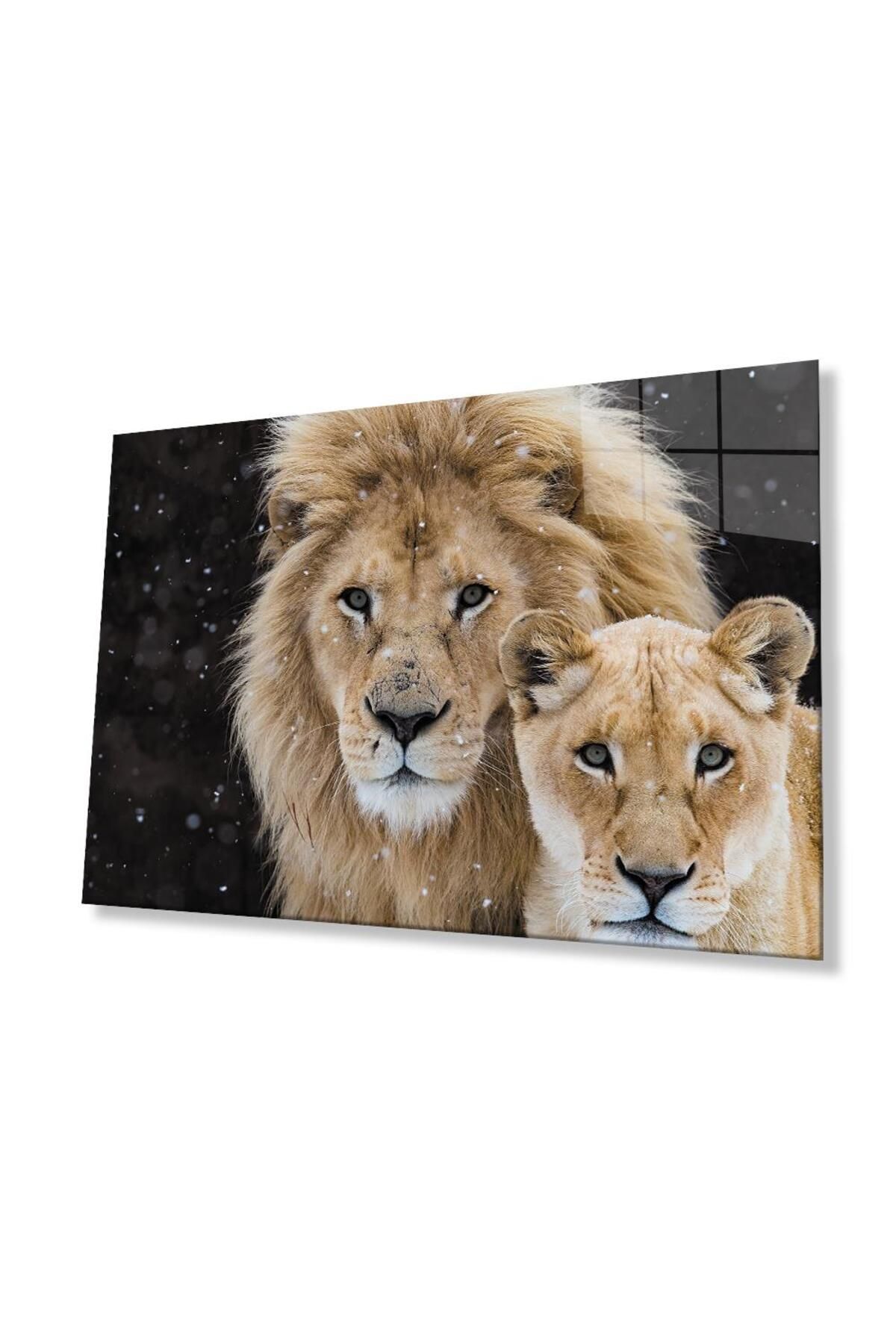 idealizbiz Aslan Cam Tablo 4mm Dayanıklı Temperli Cam