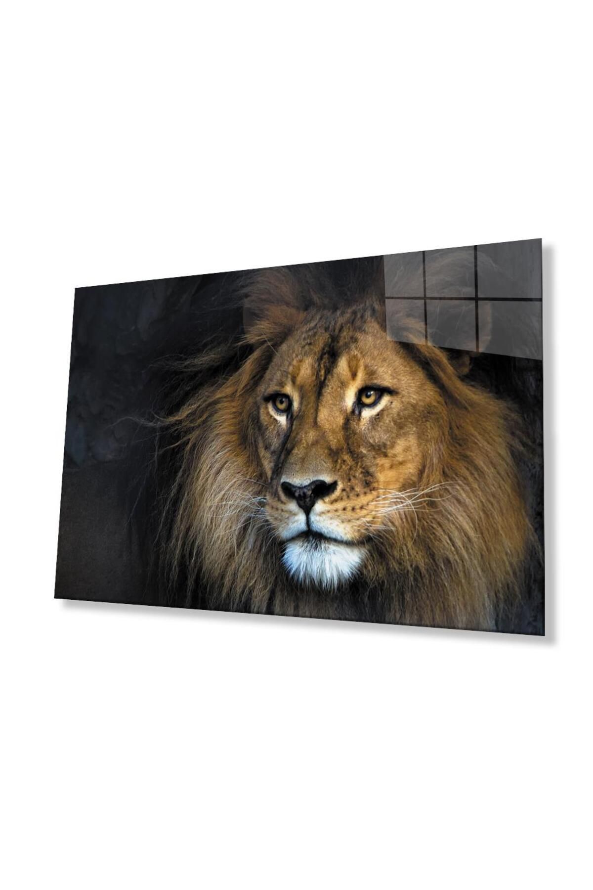idealizbiz Aslan Cam Tablo 4mm Dayanıklı Temperli Cam