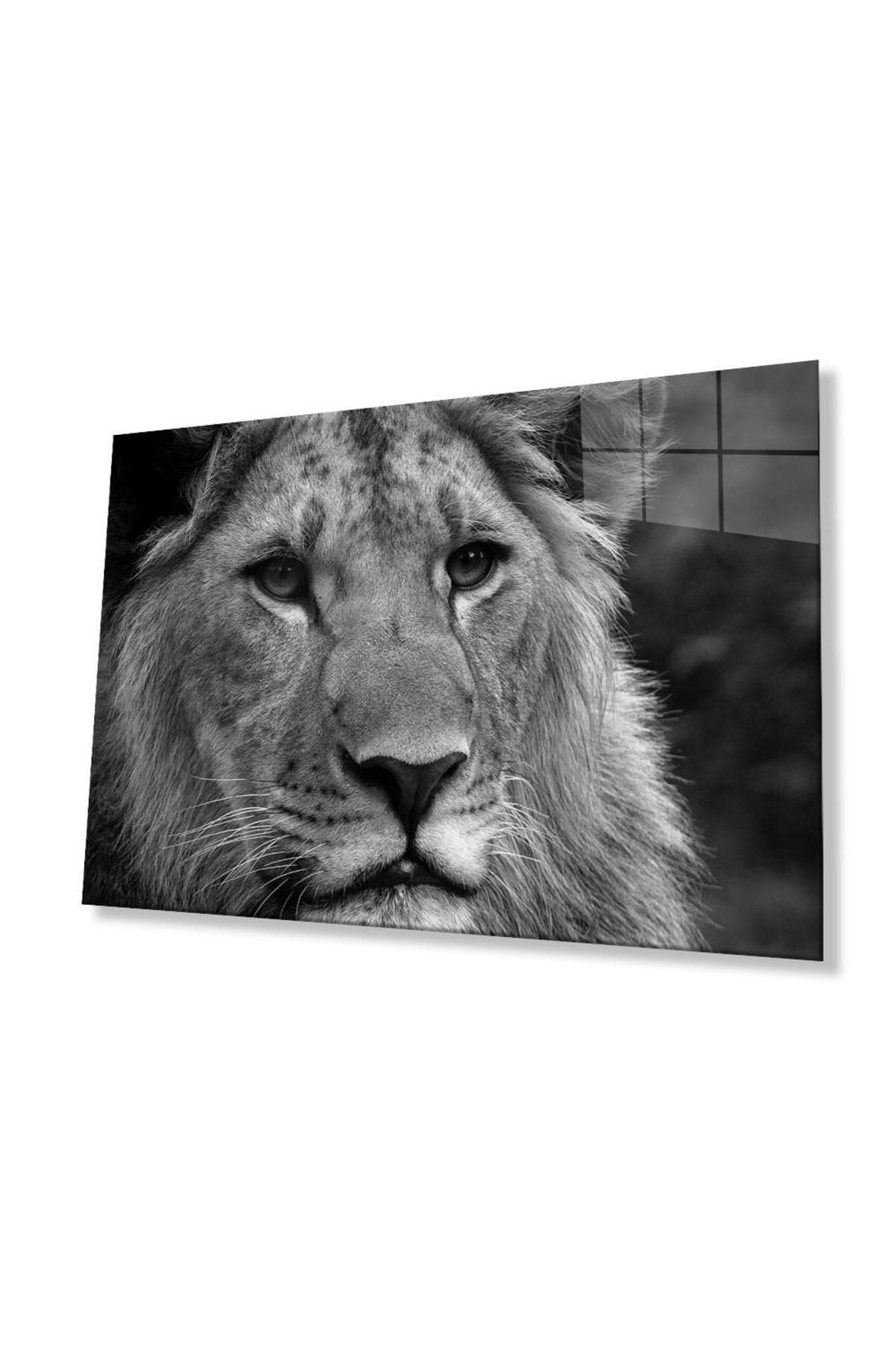 idealizbiz Aslan Cam Tablo 4mm Dayanıklı Temperli Cam