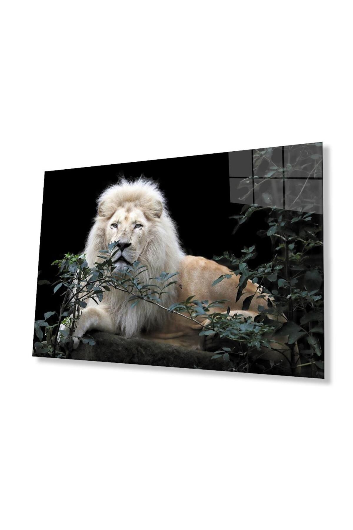 idealizbiz Aslan Cam Tablo 4mm Dayanıklı Temperli Cam