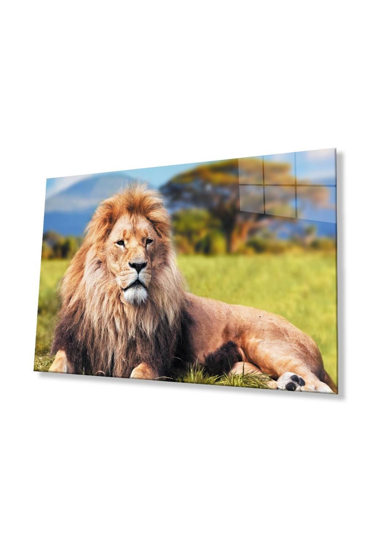 idealizbiz Aslan Cam Tablo 4mm Dayanıklı Temperli Cam