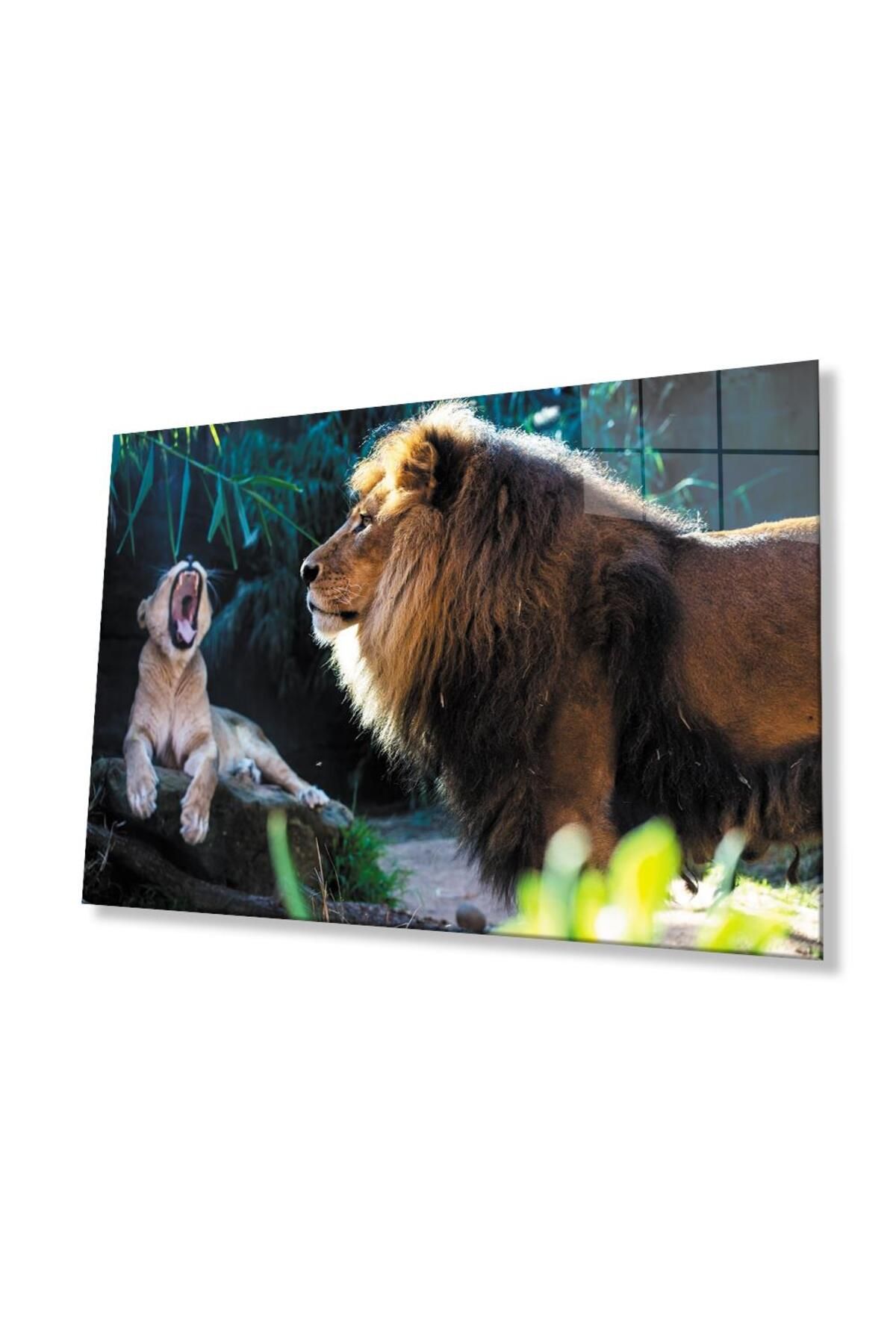idealizbiz Aslan Cam Tablo 4mm Dayanıklı Temperli Cam