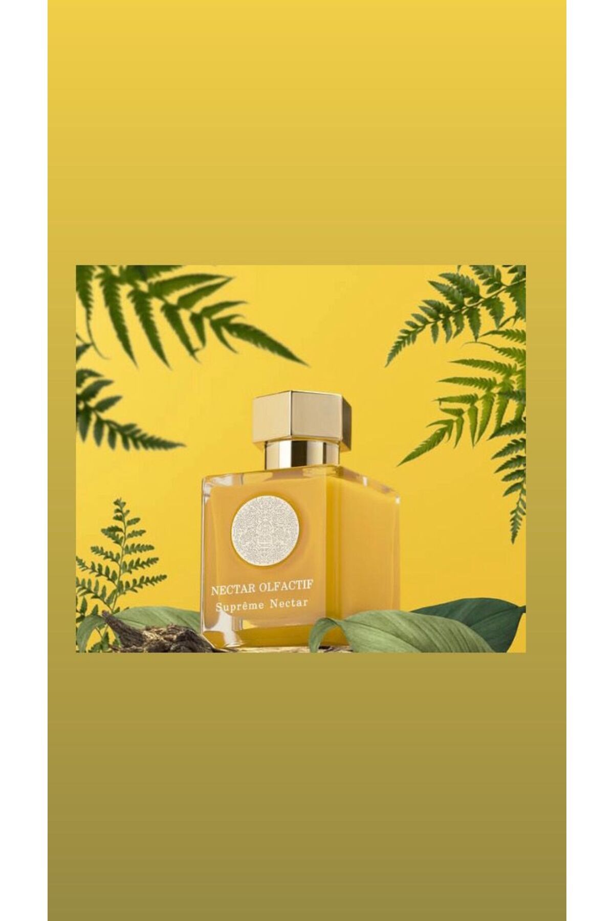 NECTAR OLFACTIF SUPREME NECTAR 100ML EDP