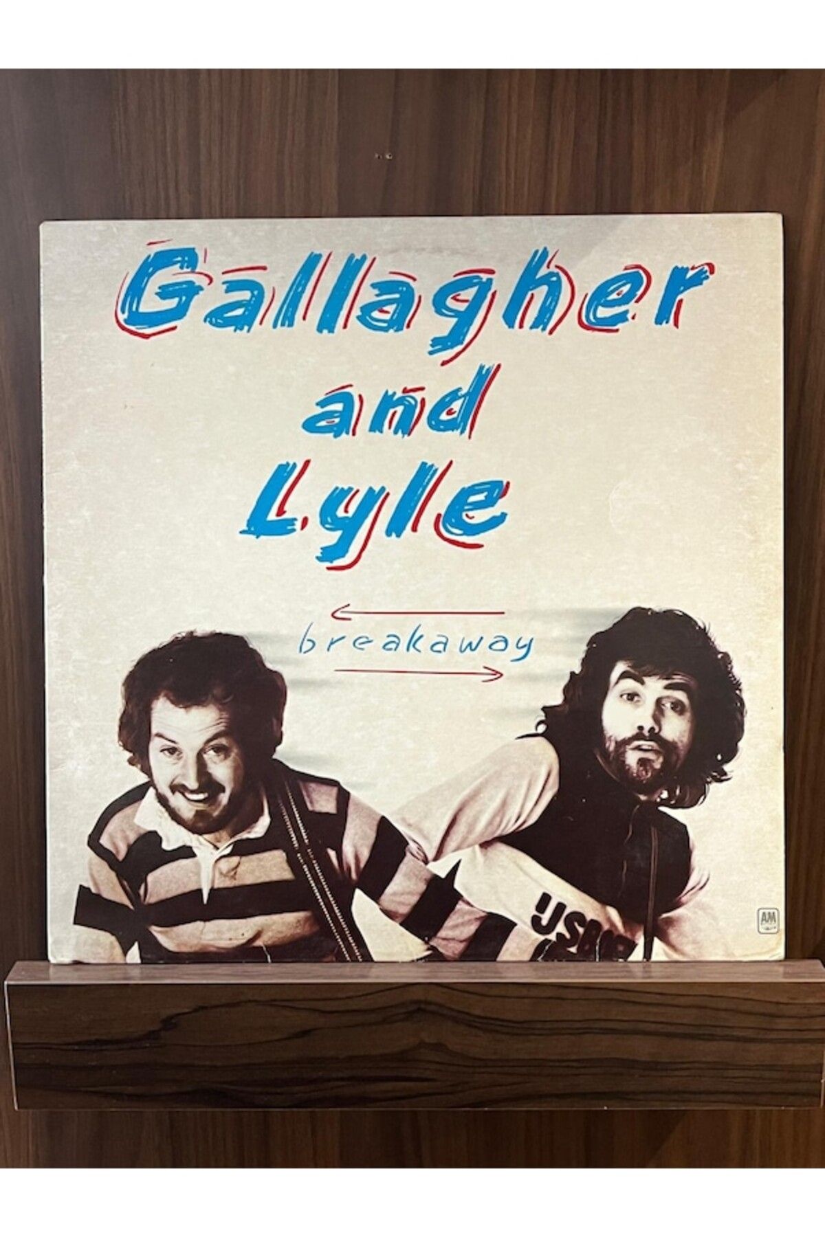 Ege Kitap ve Plak Evi Gallagher And Lyle - Breakaway , 1976 Lp Pop Rock