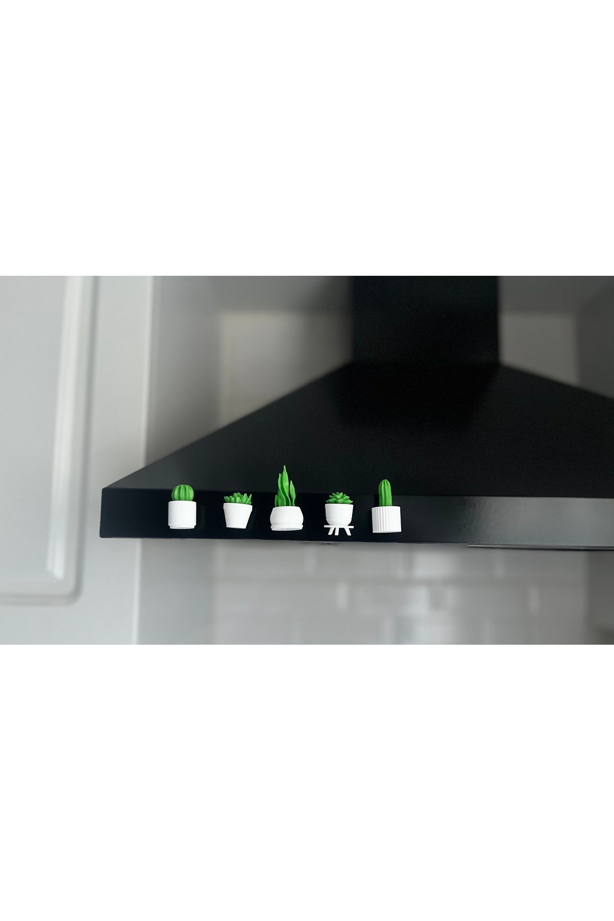 Slyvia Mini Sukulent Magnet Seti – 5'li