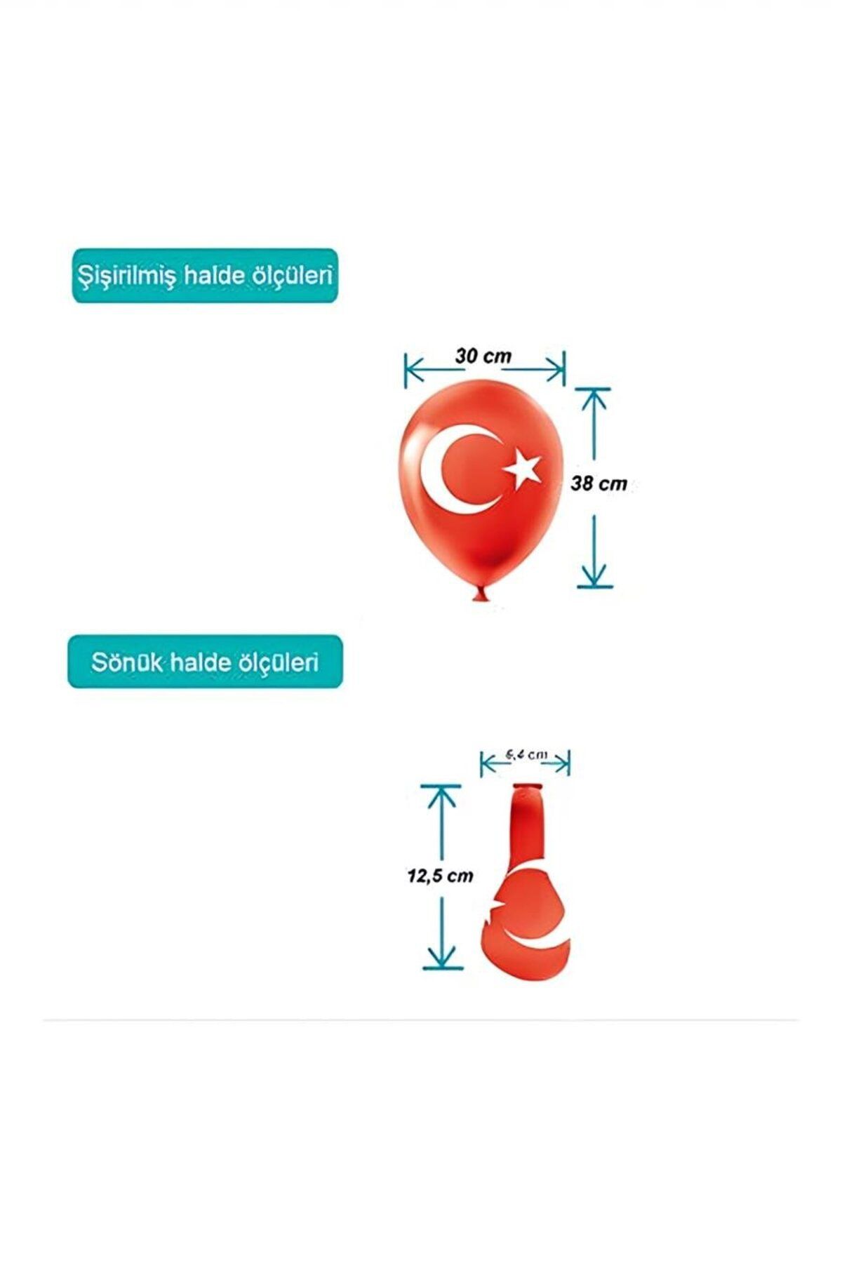 playzone Ay Yıldız Baskılı Pastel Balon 11"