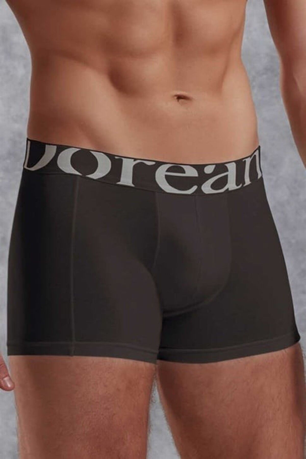 NazikEndam Dore anse Füme Erkek Modal Torbalı Normal Paça Boxer 1777