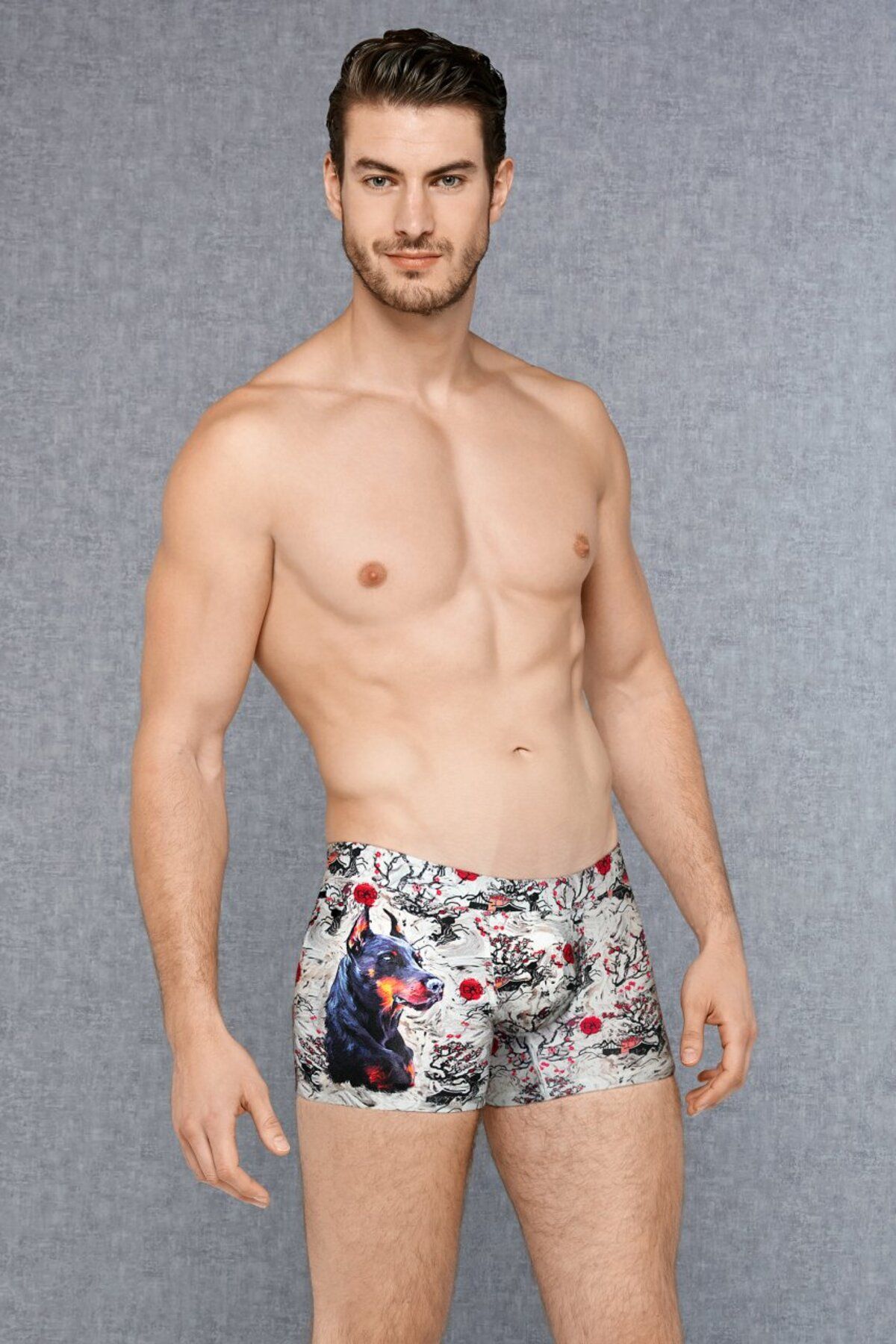 NazikEndam Dore anse Erkek Modal Çok Renkli Baskılı Torbalı Normal Paça Boxer 1808