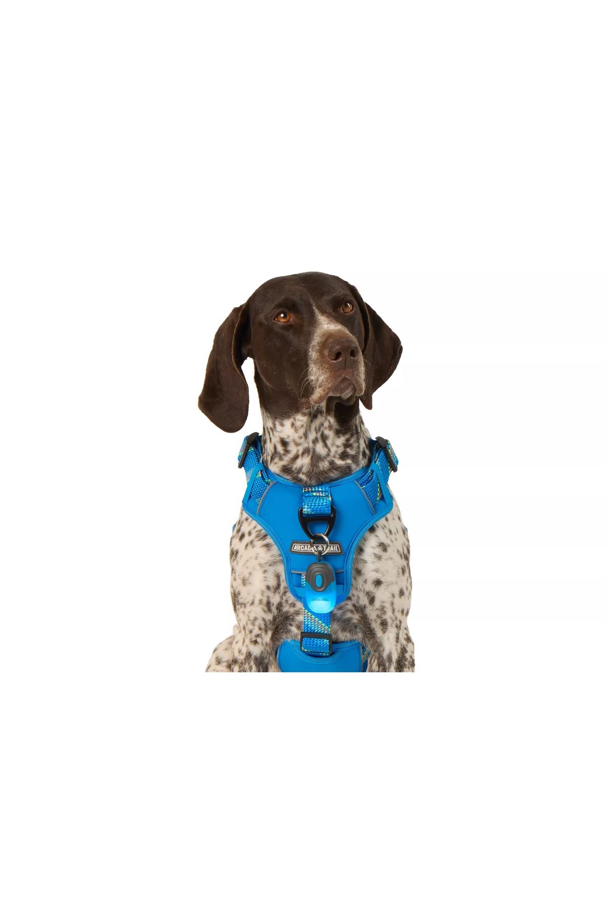 Barkie İzmir Arcadia Trail Led’li Kamp Feneri (Mavi)
