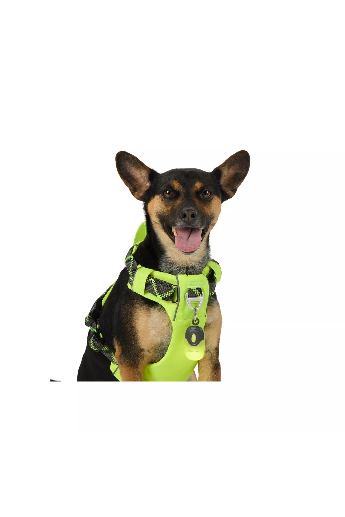 Barkie İzmir Arcadia Trail Led’li Kamp Feneri (Sari)