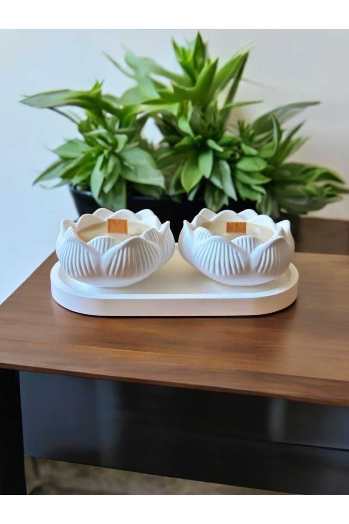 AYŞEM 2li Lotus Çiçeği,Stantlı,Soya Mumu Beyaz Beton Mumlukta