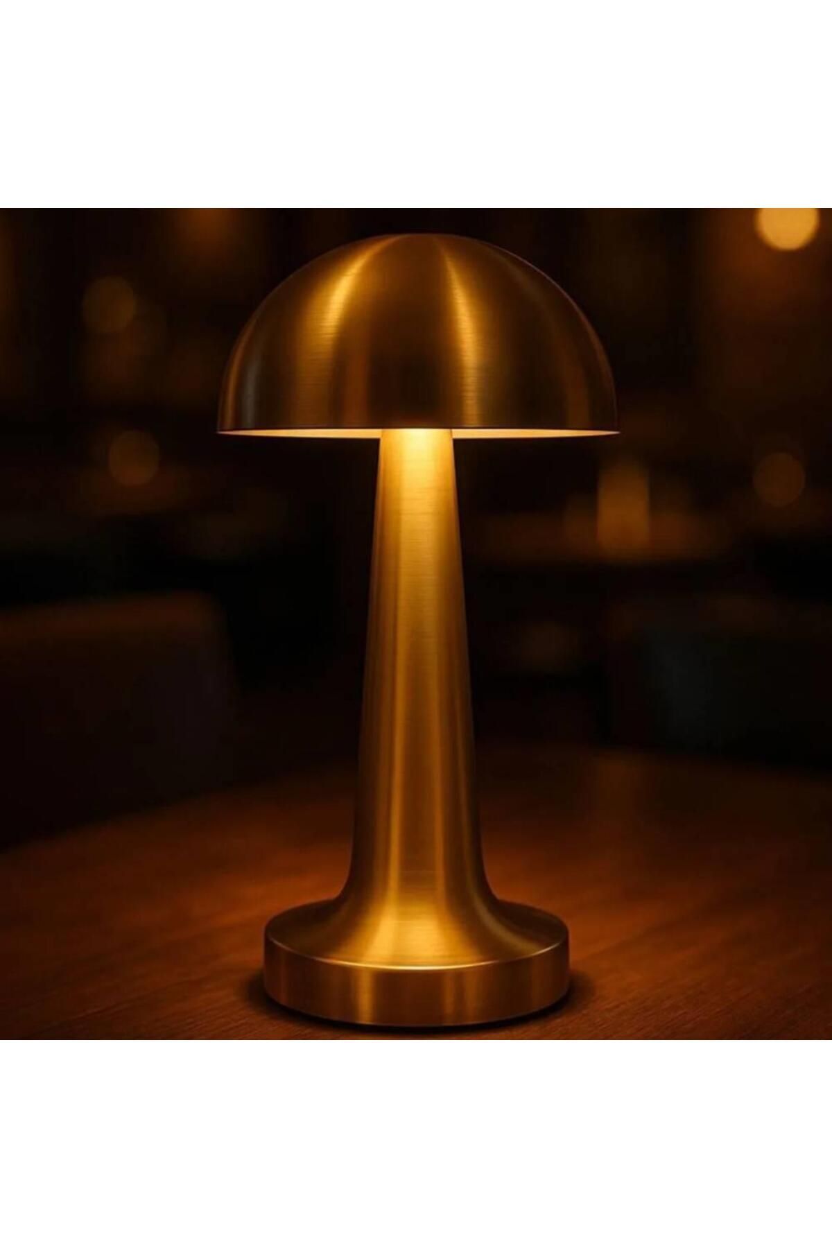 SerenityHaven Lyra Dokunmatik Mantar Masa Lambası 3 Işık Renkli Şarjlı Dekoratif Masa Lambası Metal Ürün
