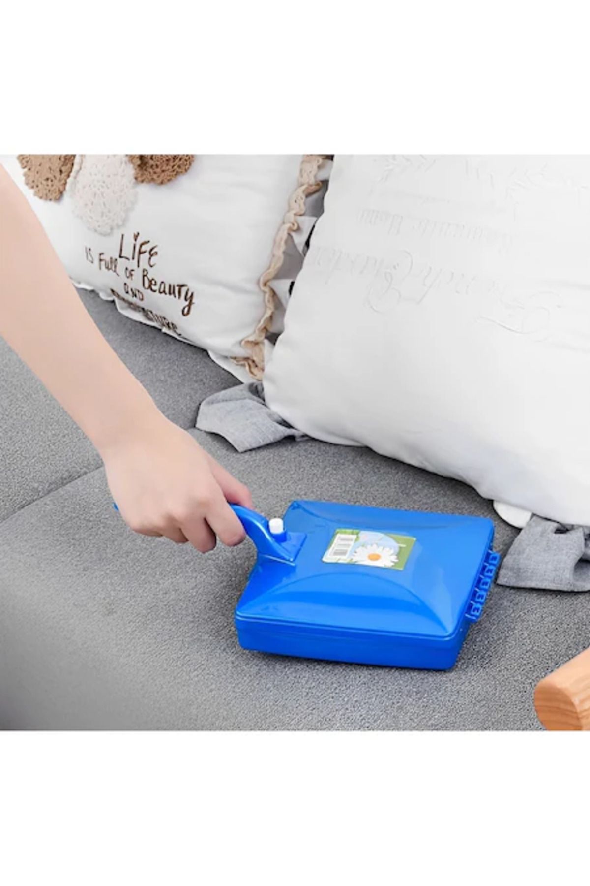 ABYZ-Carpet brush, 3 wheels, simple model, removable handle, 16 x 12 cm, blue color 4