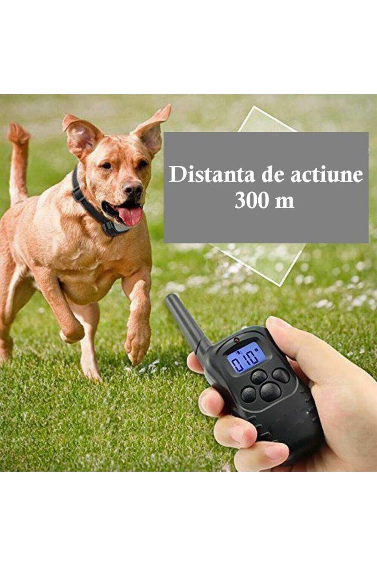SIKS-Dog Training Collar, Adjustable, Receiver with LCD Display, 2 x 4LR44 6V Batteries Included 4