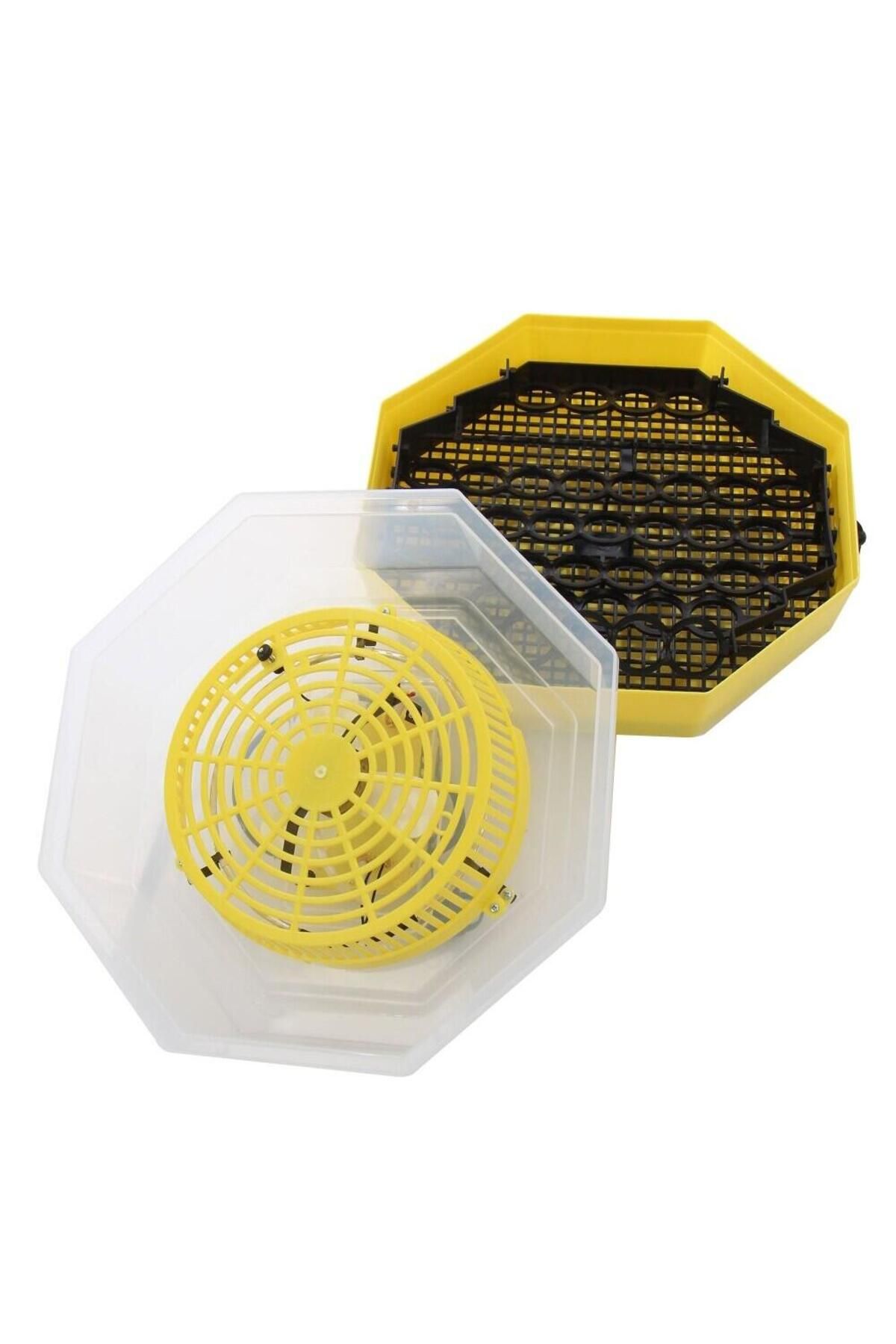 ertone-Incubator electric oua cu dispozitiv de intoarcere si termometru Cleo 5DT, 41 oua, 38°C 3