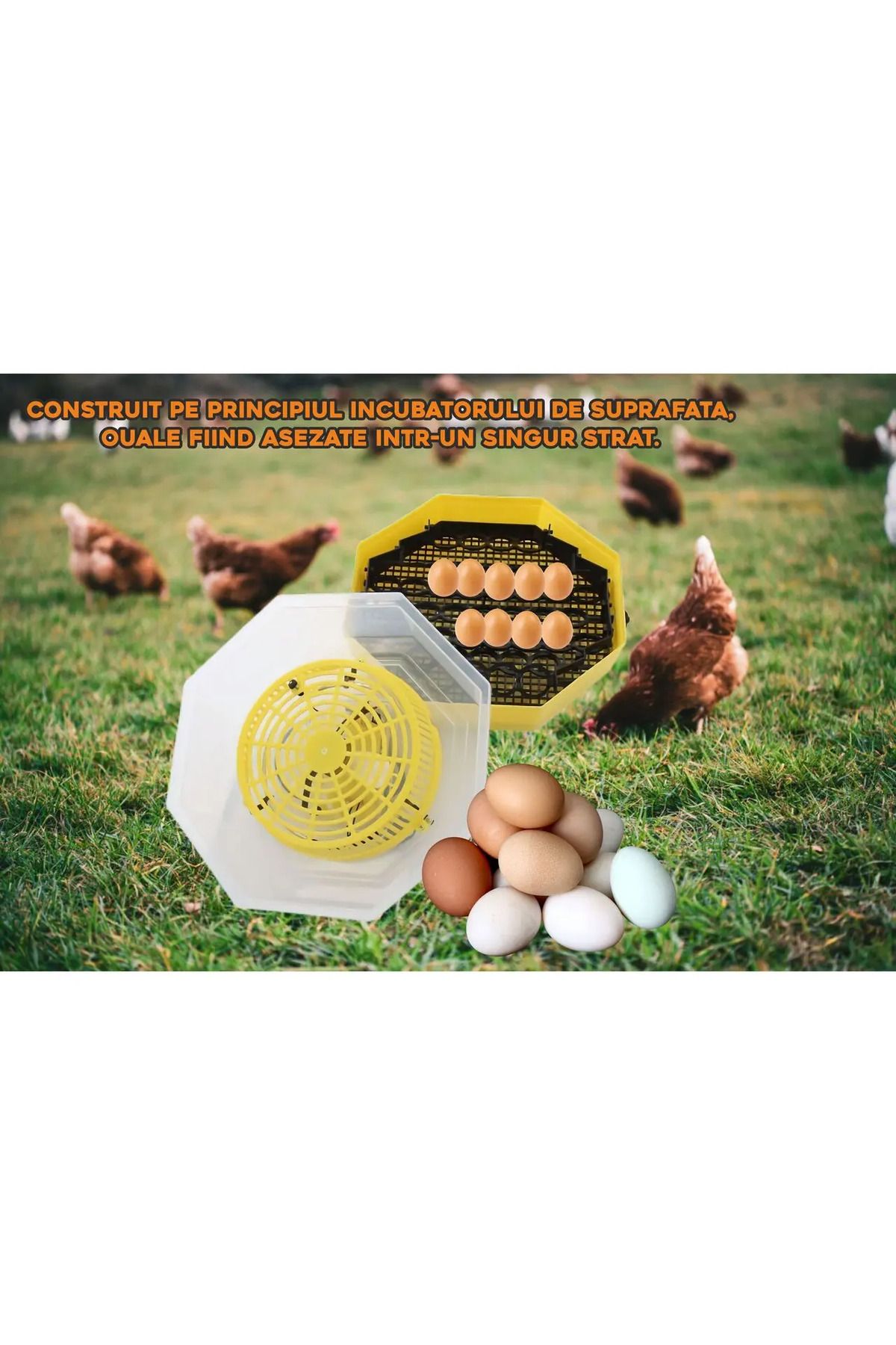 ertone-Incubator electric oua cu dispozitiv de intoarcere si termometru Cleo 5DT, 41 oua, 38°C 7