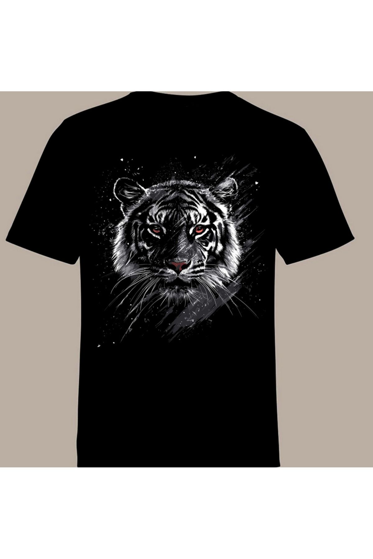 dsnstore ASLAN1