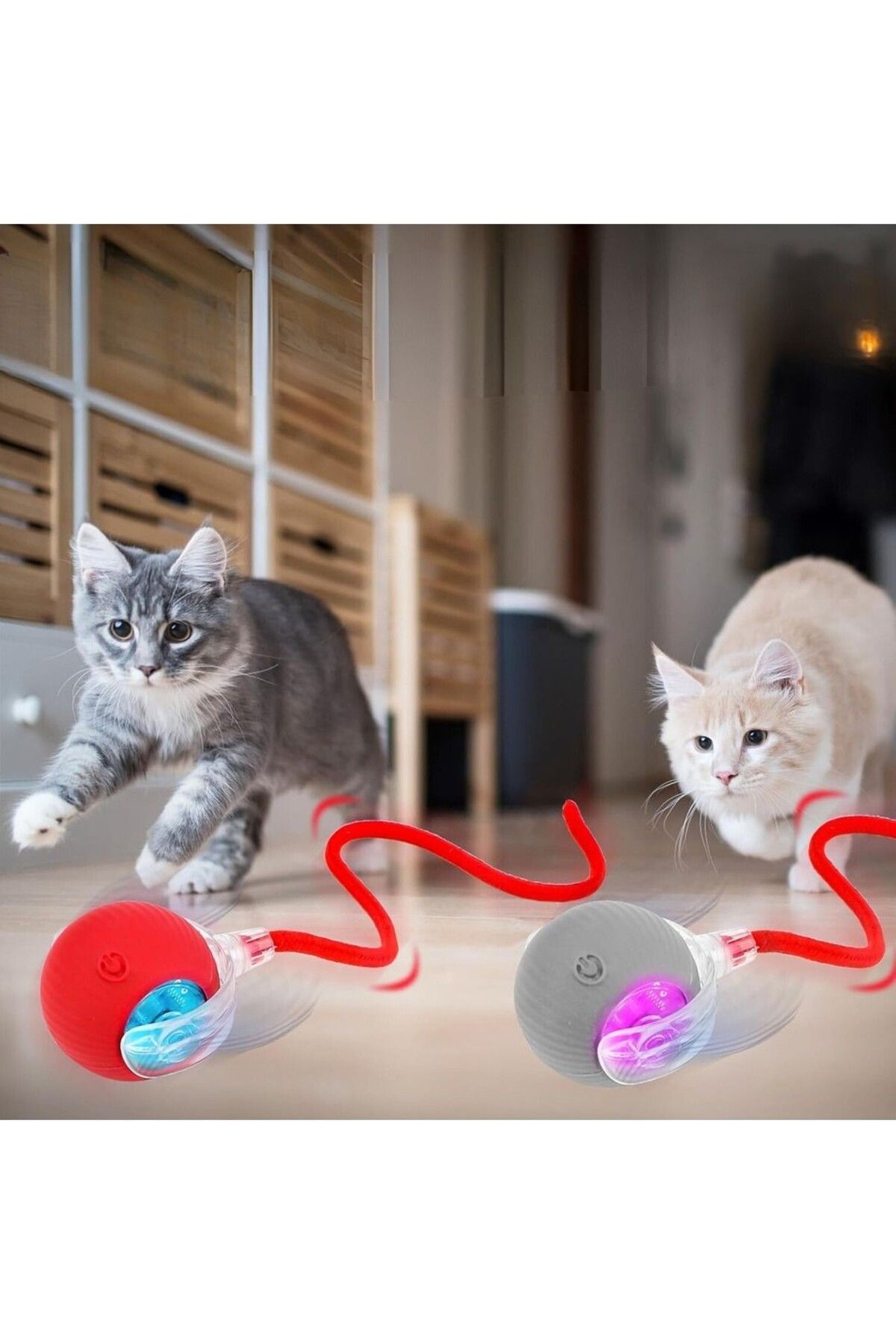 Petesia Yeni Nesil Akıllı Hareketli Şarjlı Kedi Köpek Oyuncağı | Interaktif Eğlence Topu