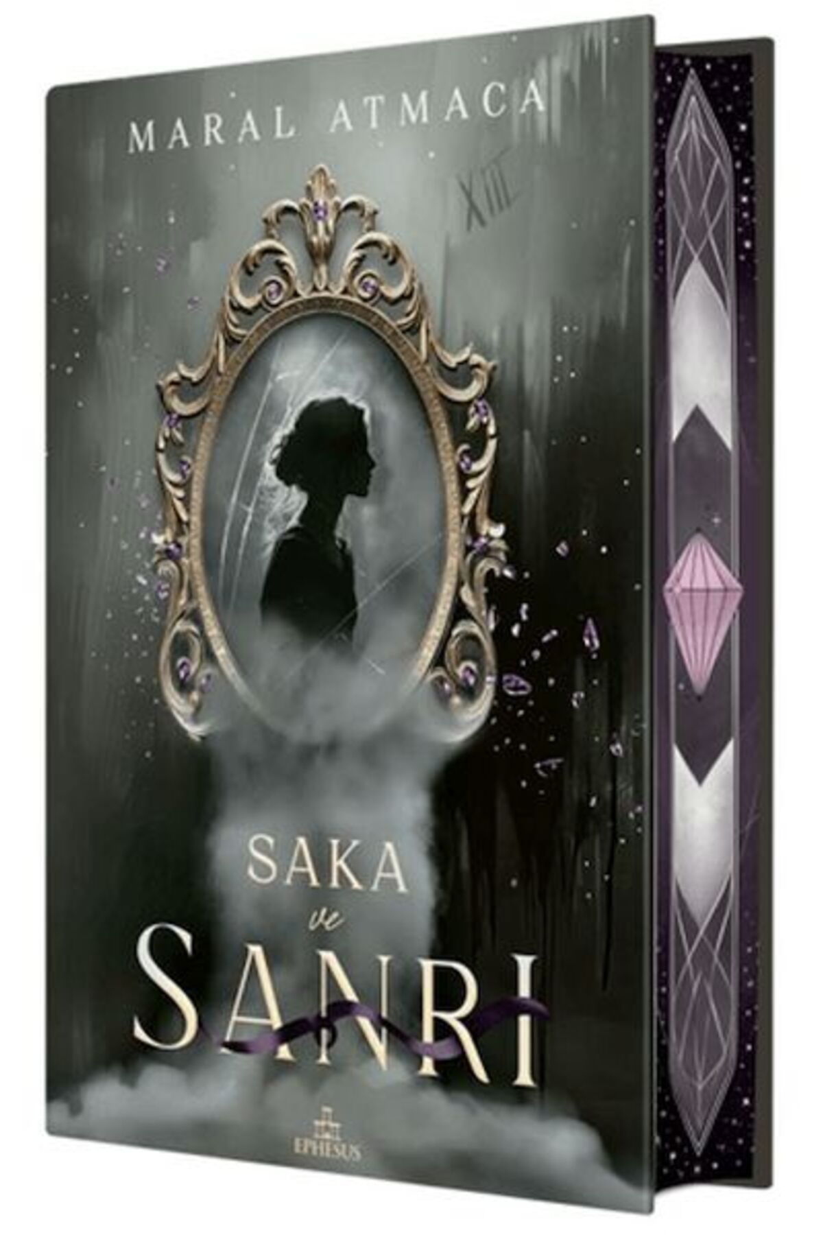 Destek Yayınları Saka ve Sanrı 2 - Yan Boyamalı (Ciltli)