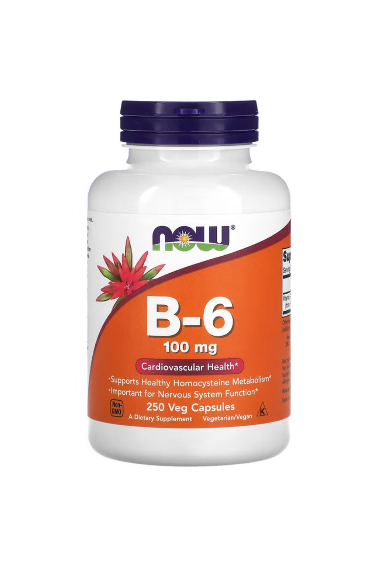 Now Foods , B-6, 100 mg, 250 Veg Capsules