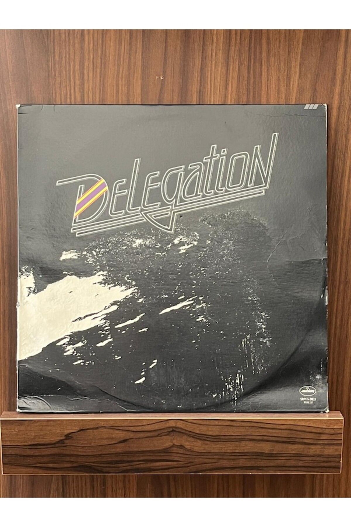 Ege Kitap ve Plak Evi Delegation - Delegation , 1980 Lp Disco