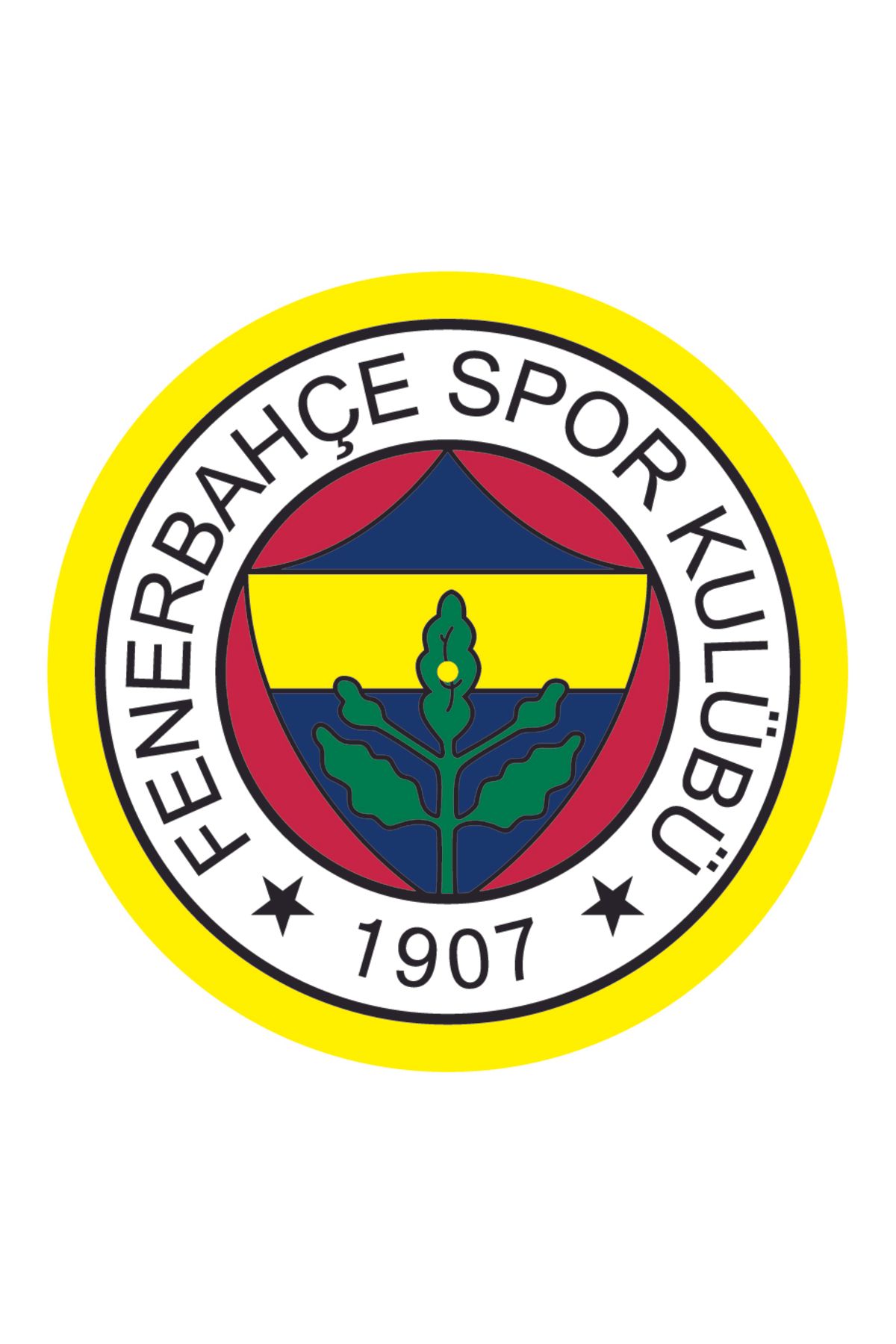 Çıtırtılı Sesler Fenerbahçe Pikap Matı