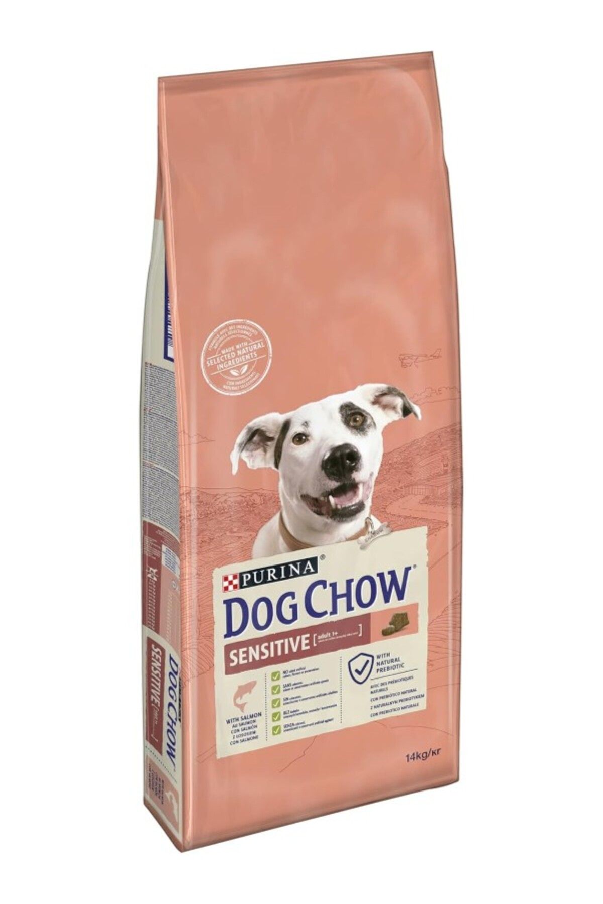 ShopZum Dog Chow-Purina Somon Balıklı Yetişkin Köpek Maması 14 Kg