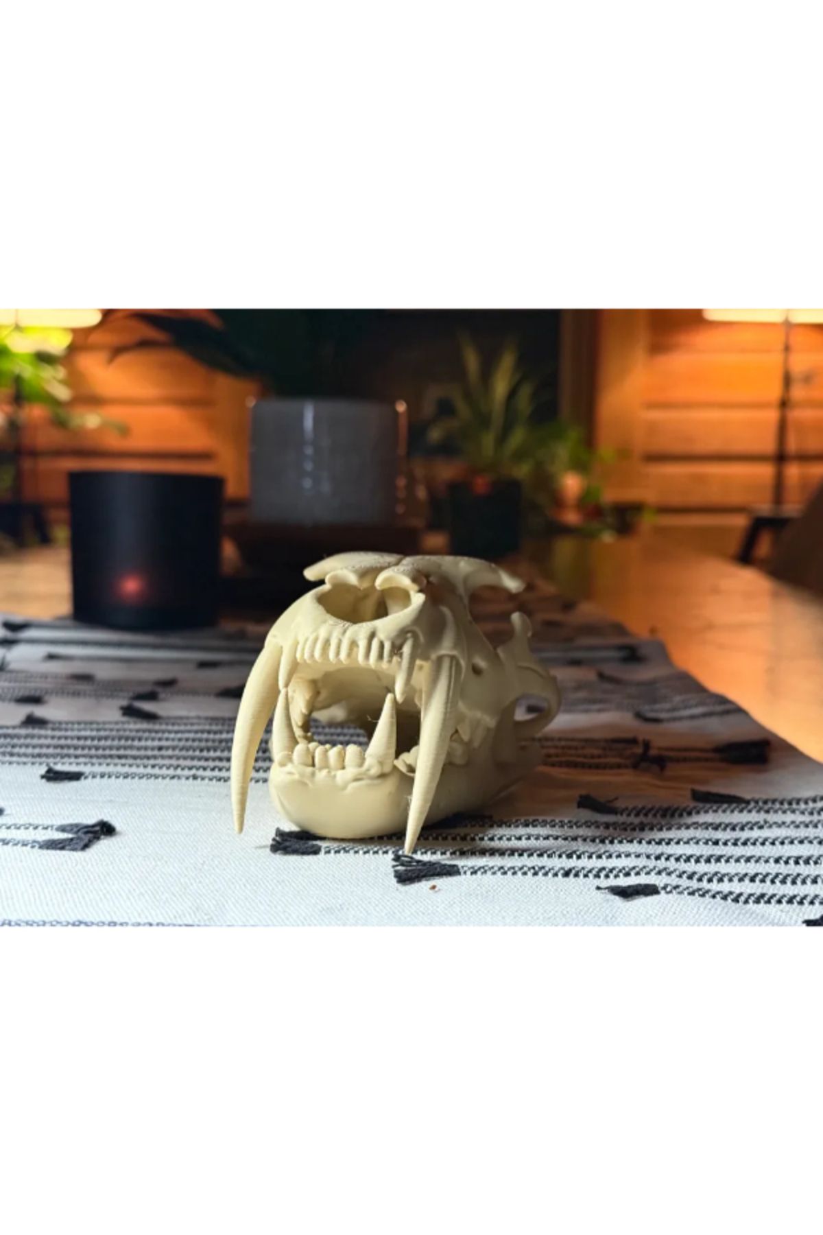 NOMOTHETIC Kılıç Dişli Kaplan Kafatası (Sabertooth Skull)