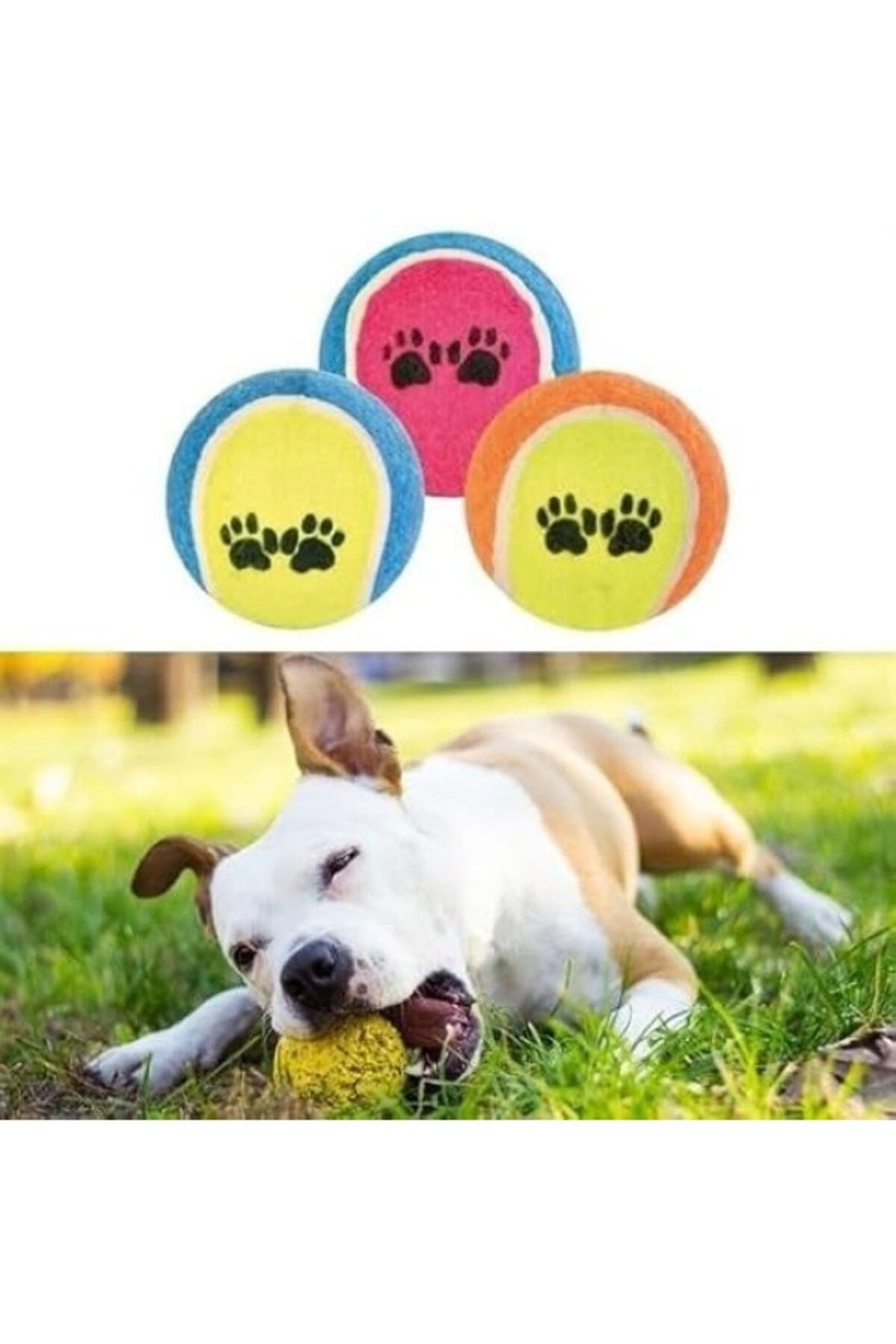 ShopZum Güncelçarşı 3Lü Renkli Desenli Tenis Topu Köpek Oyuncağı