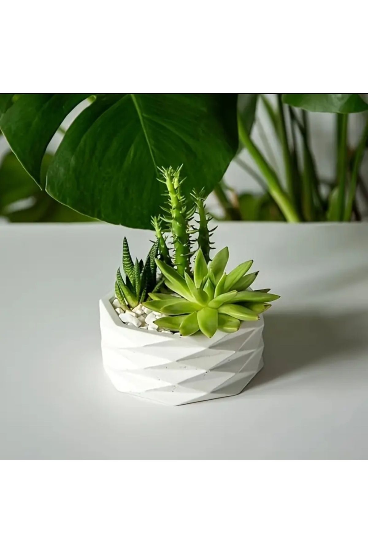 Lemonhouse Elmas Kesim Beton Sukulent Kaktüs Saksısı 15 cm