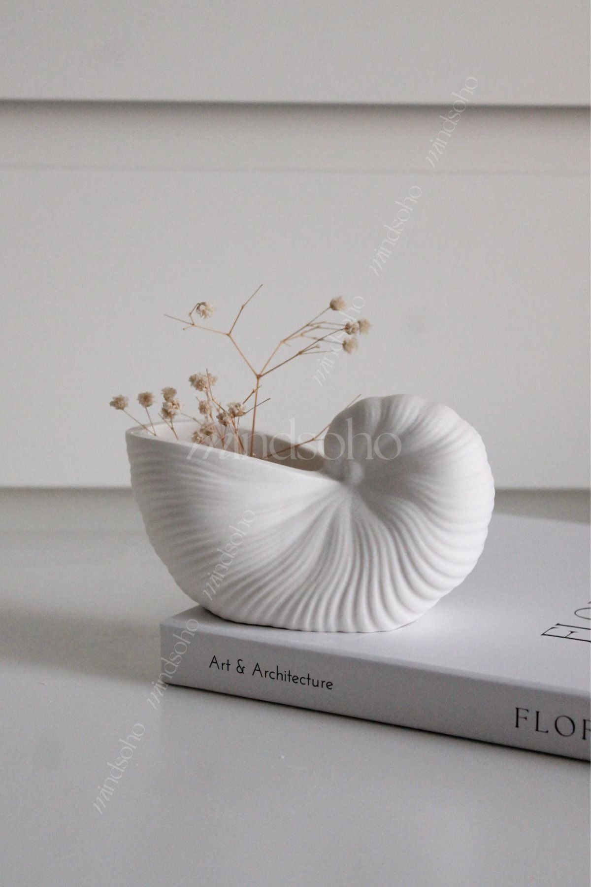 SerenityHaven Dekoratif Deniz Kabuğu Şeklinde Vazo 13x8