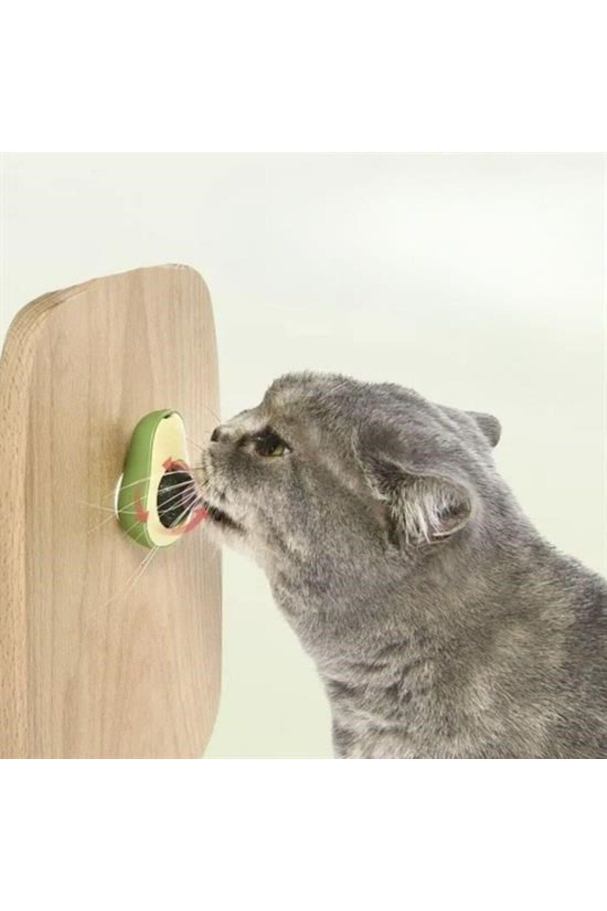 Skygo-BUFFER® Avocado Model Adhesive Cat Toy Edible Catnip Herb 3