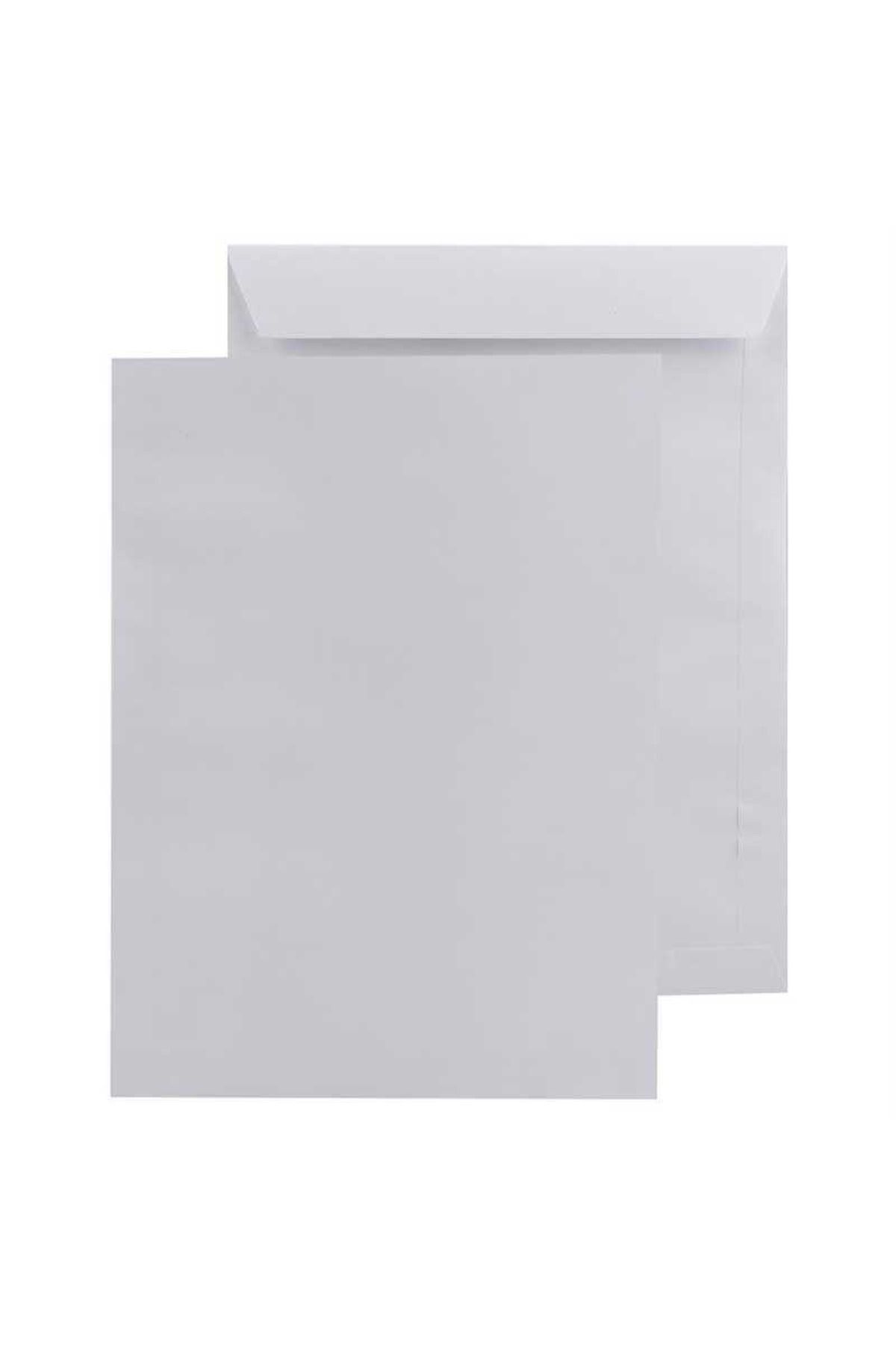 gnsstore Doğan Torba Zarf Silikonlu 17X25 110Gr Beyaz -500