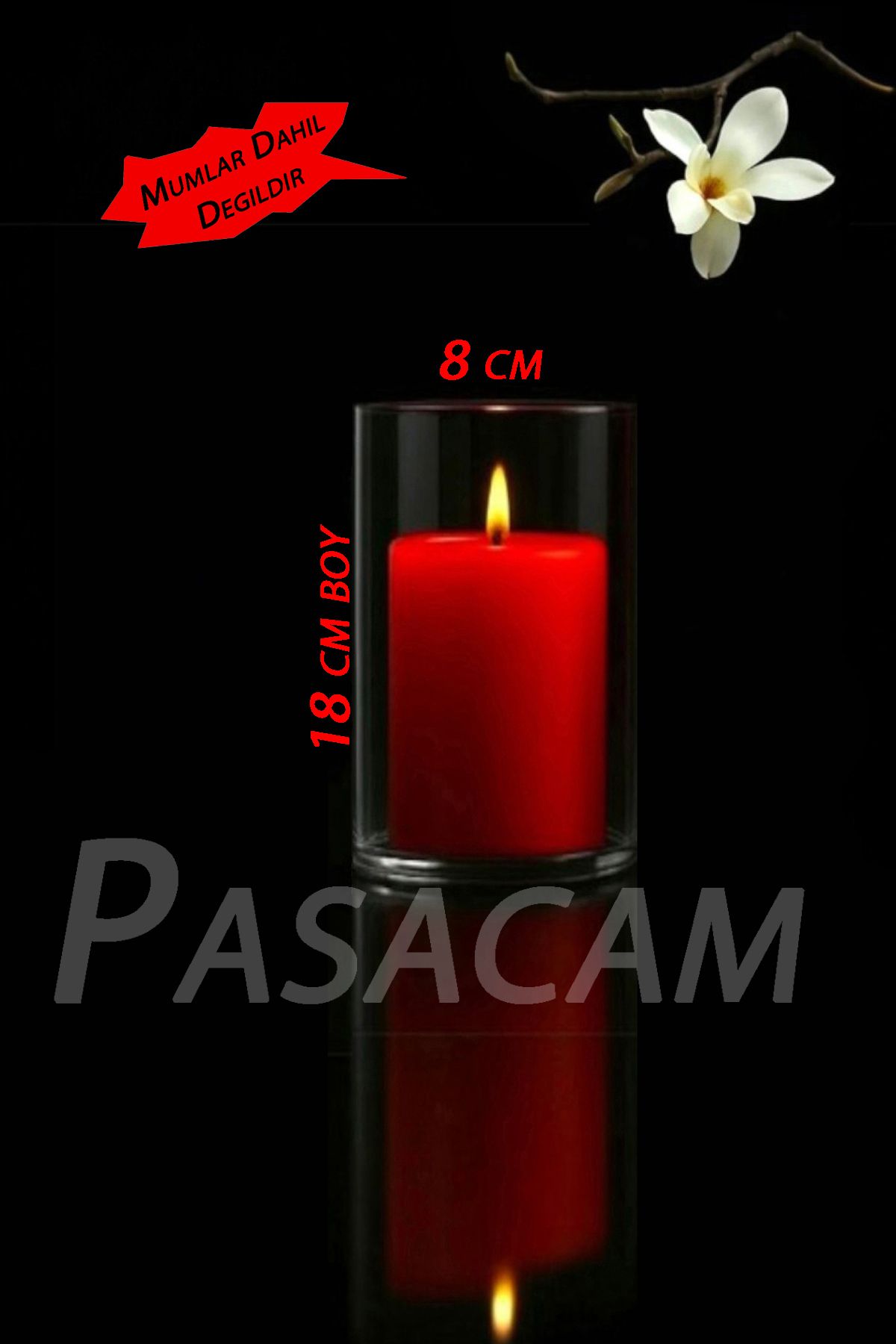 Paşa Cam Cam Vazo Silindir Mumluk 8 cm Boy 18 cm Yükseklik