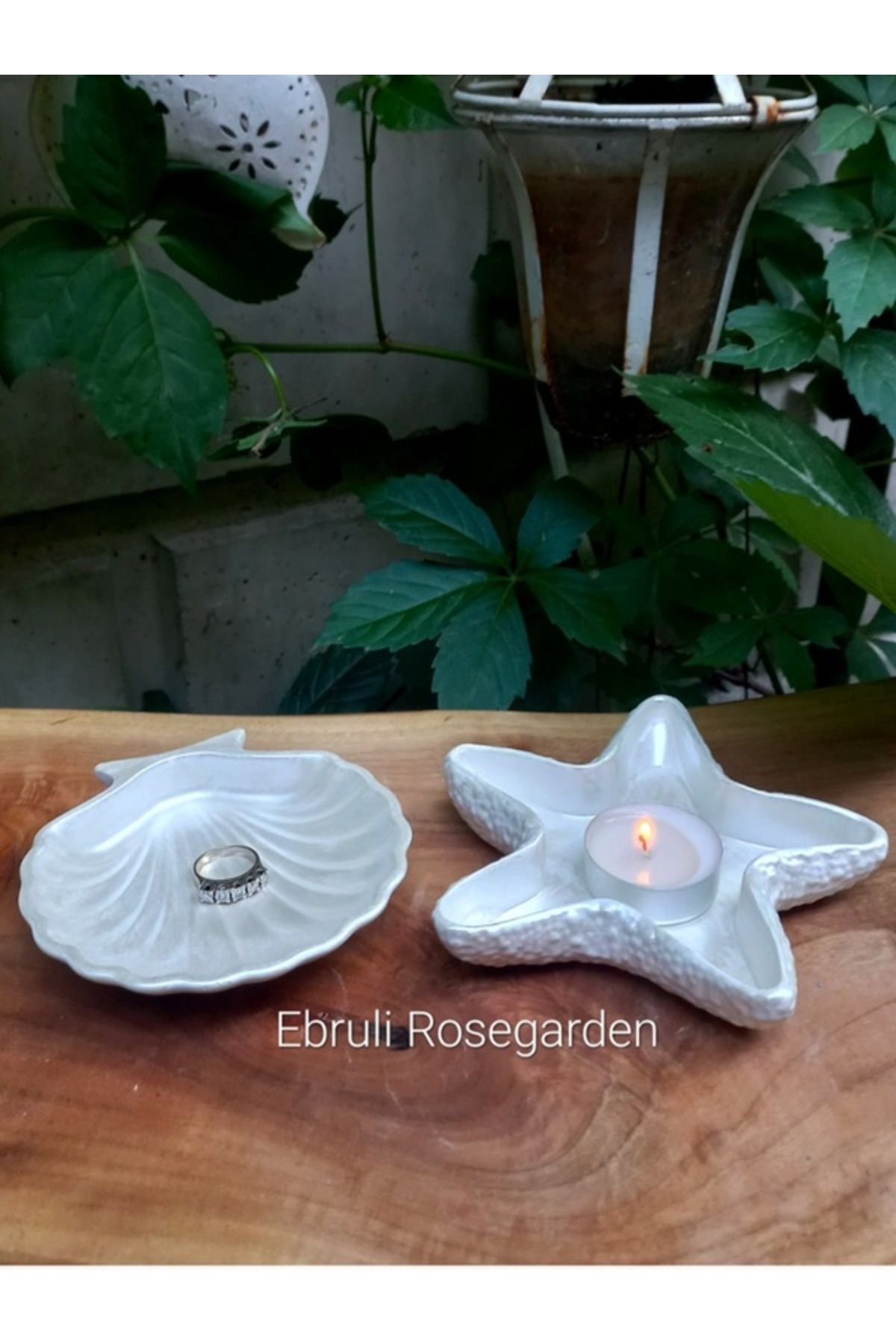 Ebruli Rosegarden 2'li İNCİ Serisi Deniz Kabuğu ve Deniz Yıldızı İstridye Beton Dekoratif Kase Takı Tabağı ve Mum