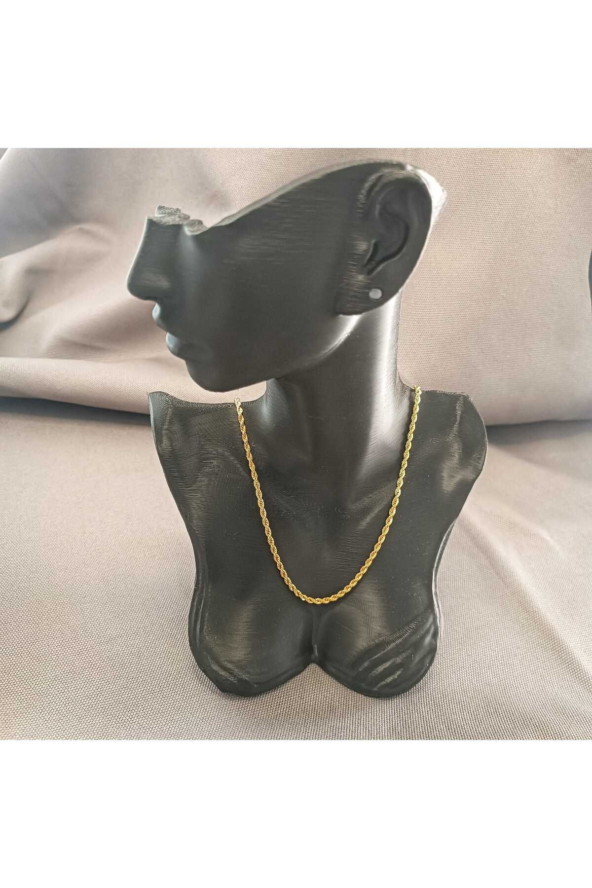 Masal Gurumi BURGU ZİNCİR KOLYE GOLD RENK 316L ÇELİK KOLYE