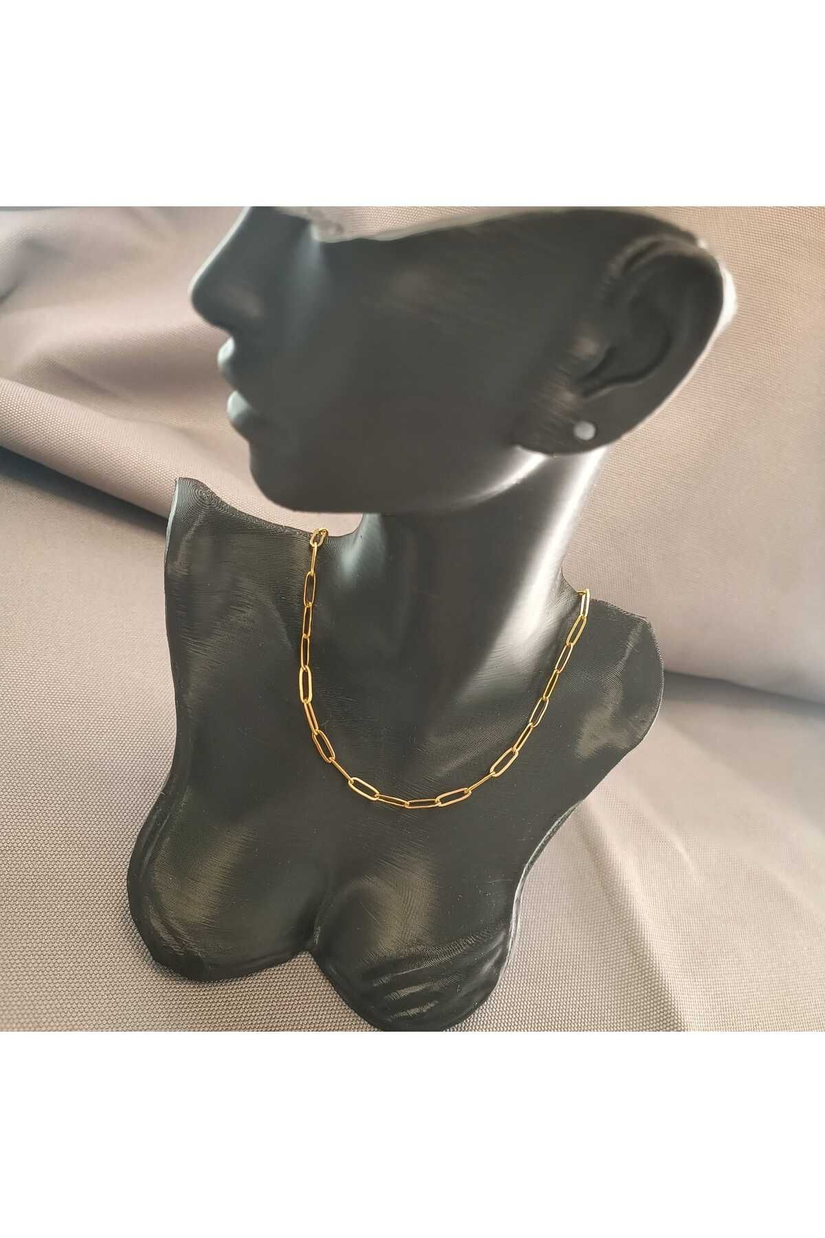 Masal Gurumi ZİNCİR KOLYE GOLD RENK 316L ÇELİK