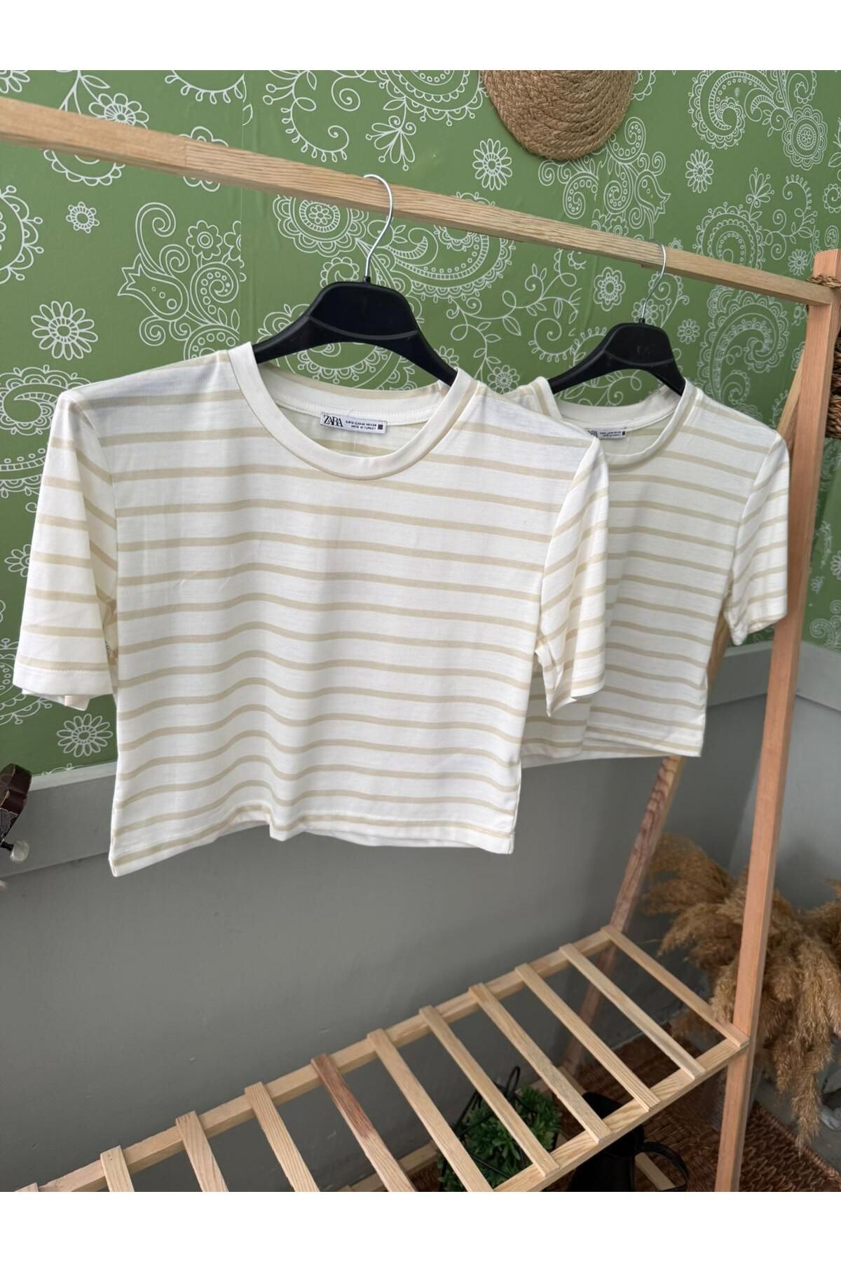 SENEM CROP