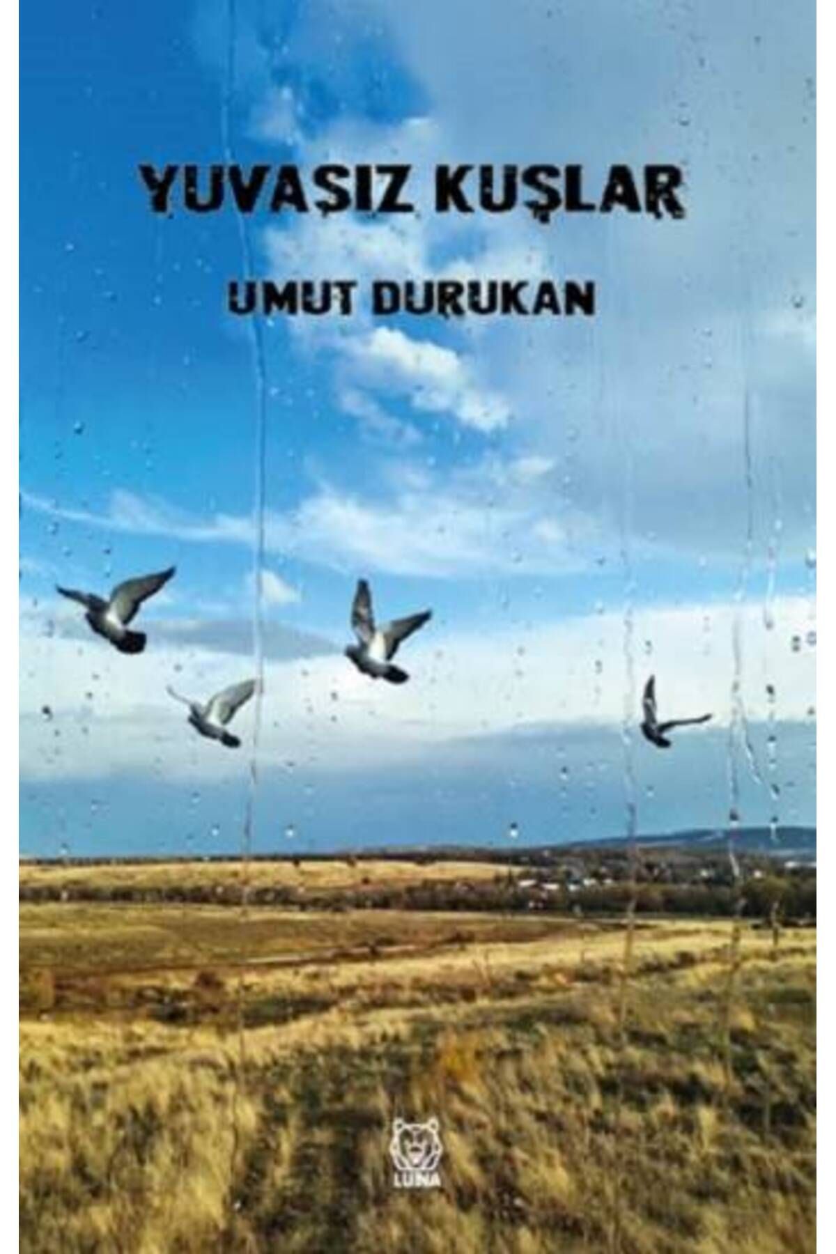Luna Yayınları Yuvasız Kuşlar