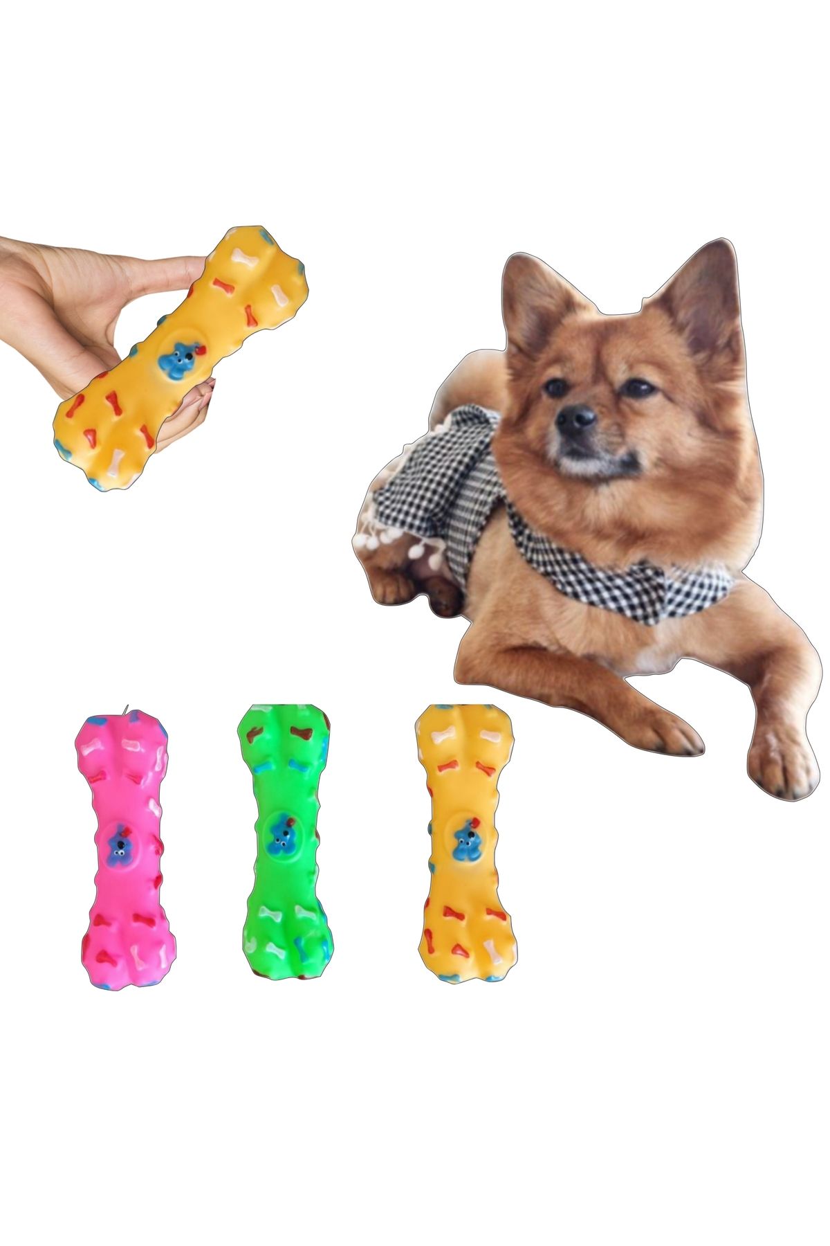 Pet Aksesuar Köpek ve kedi sesli oyuncak topu,kemik model ,3 renk