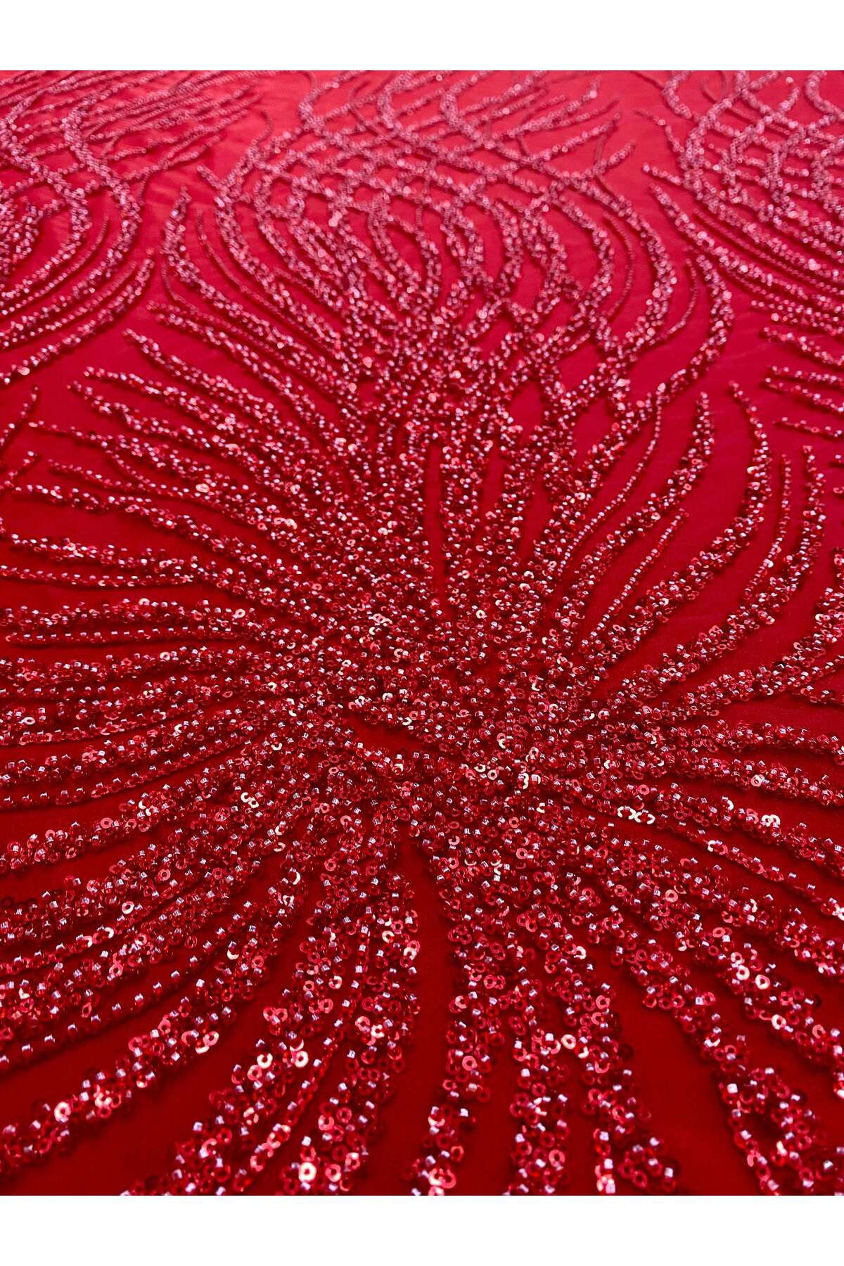Luxuro-Red Couture Lace with Strings, Beads and Sequins 3