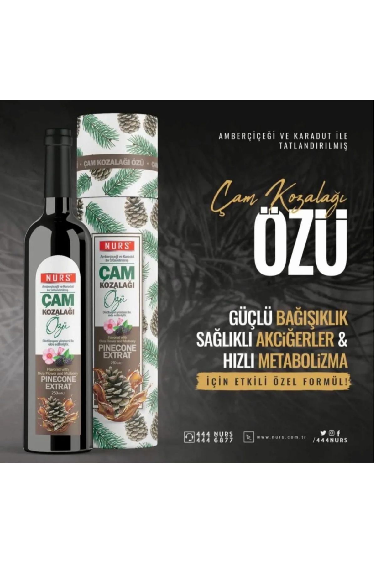 Nurs Lokman Hekim Çam Kozalağı Özü Şurubu Akciğer Detoxu