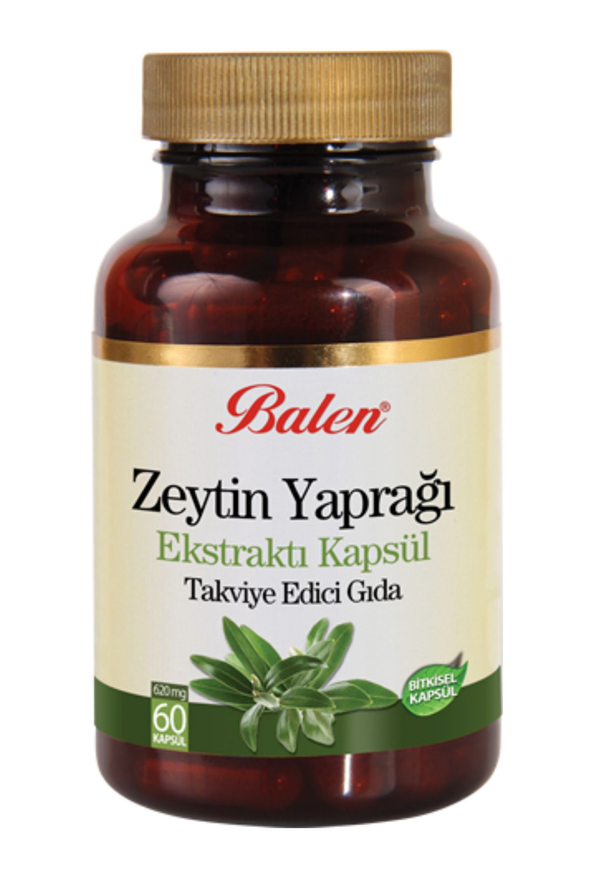 GÜLCE LOKMAN HEKİM AKTAR BALEN ZEYTİN YAPRAĞI EKSTRAKTI KAPSÜL 500MG*60