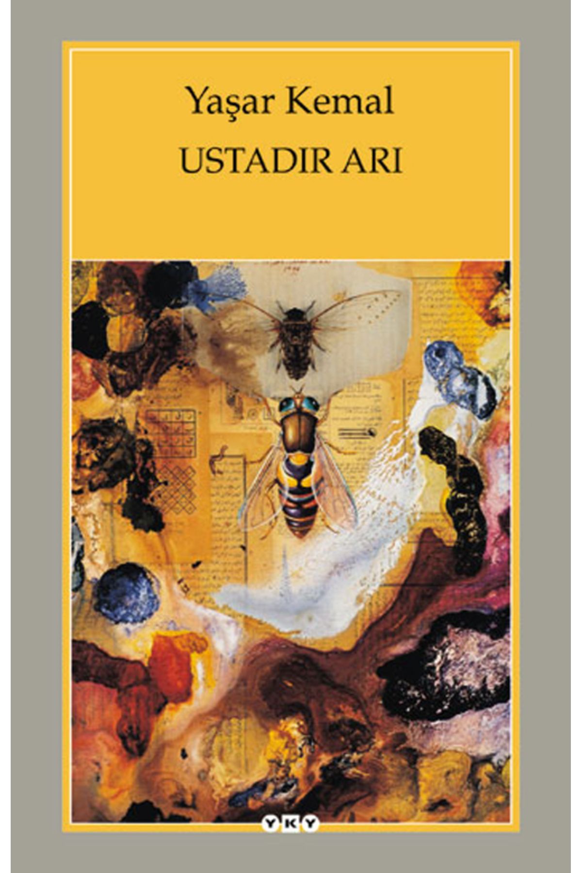 Yapı Kredi Yayınları Ustadır Arı 9.Baskı