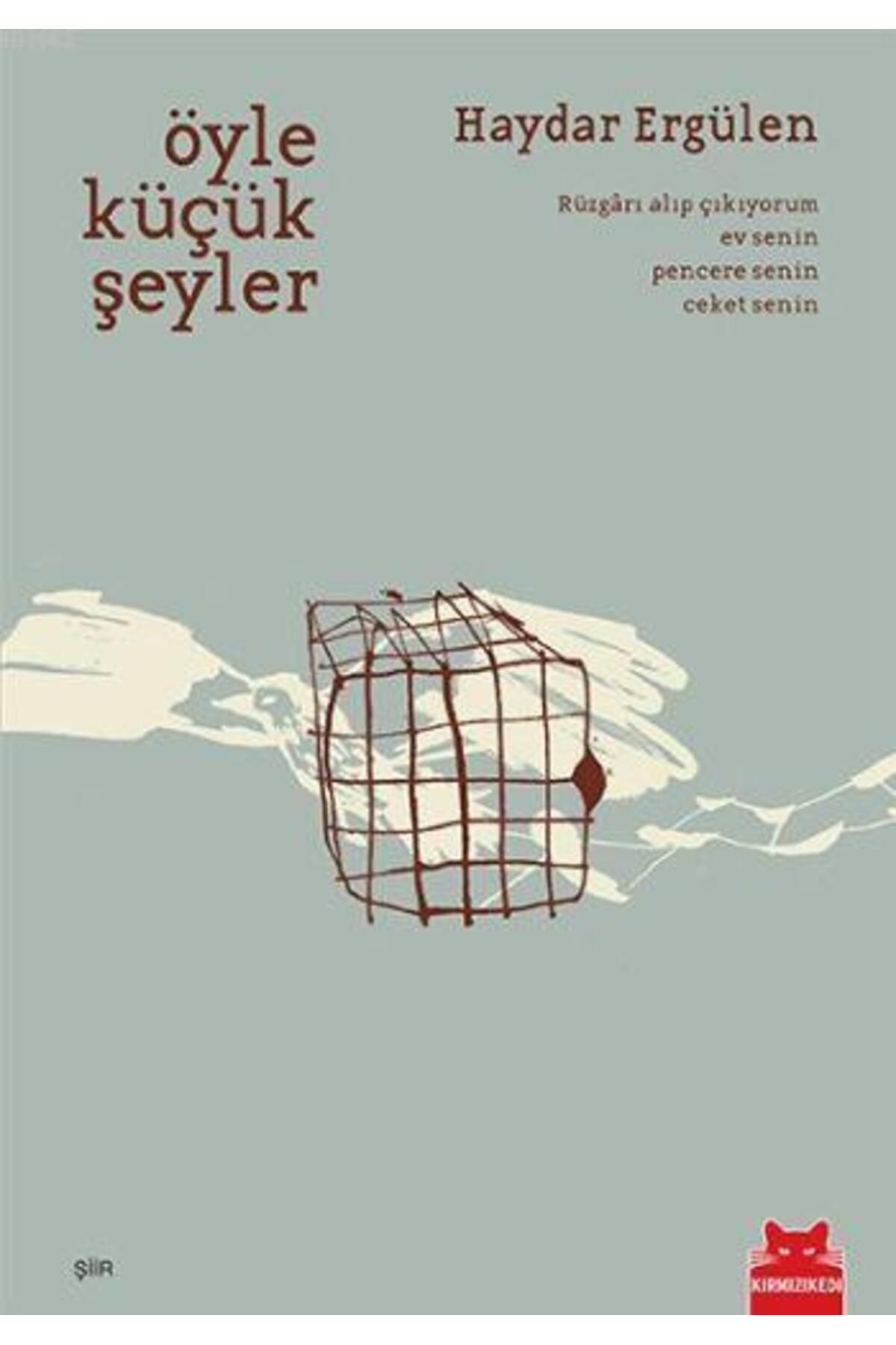 Kırmızı Kedi Yayınları ÖYLE KÜÇÜK ŞEYLER