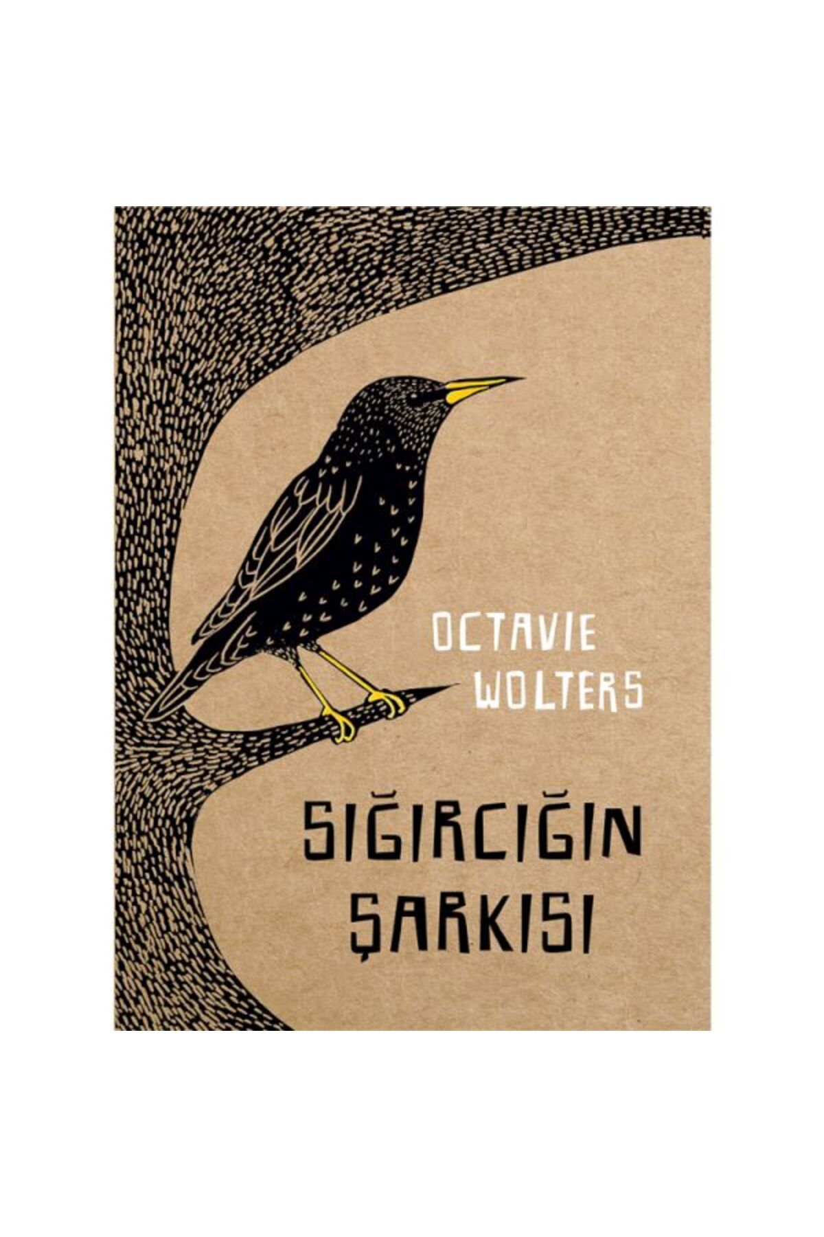 Meav Yayıncılık Sığırcığın Şarkısı