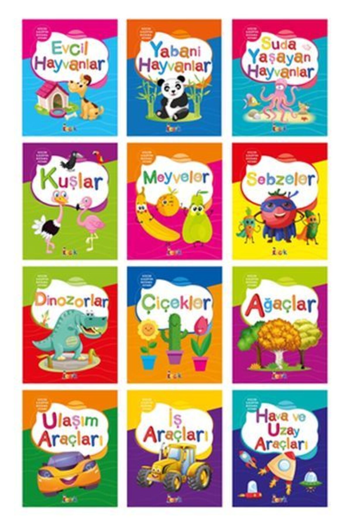 Bıcırık Yayınları Küçük Kaşifin Boyama Kitabı (12 Kitap Takım)