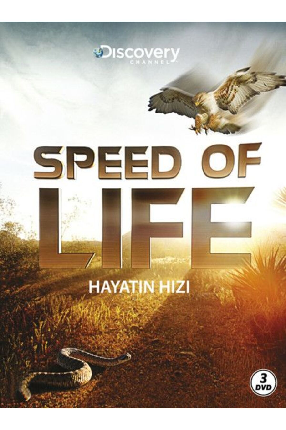 Destek Yayınları Speed Of Life - Hayatın Hızı