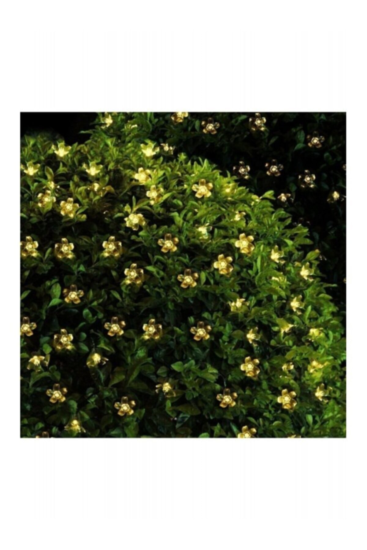 Schnauer 30 Led Solar Flowering Daylight Garden Lighting Decoration Solar Powered
